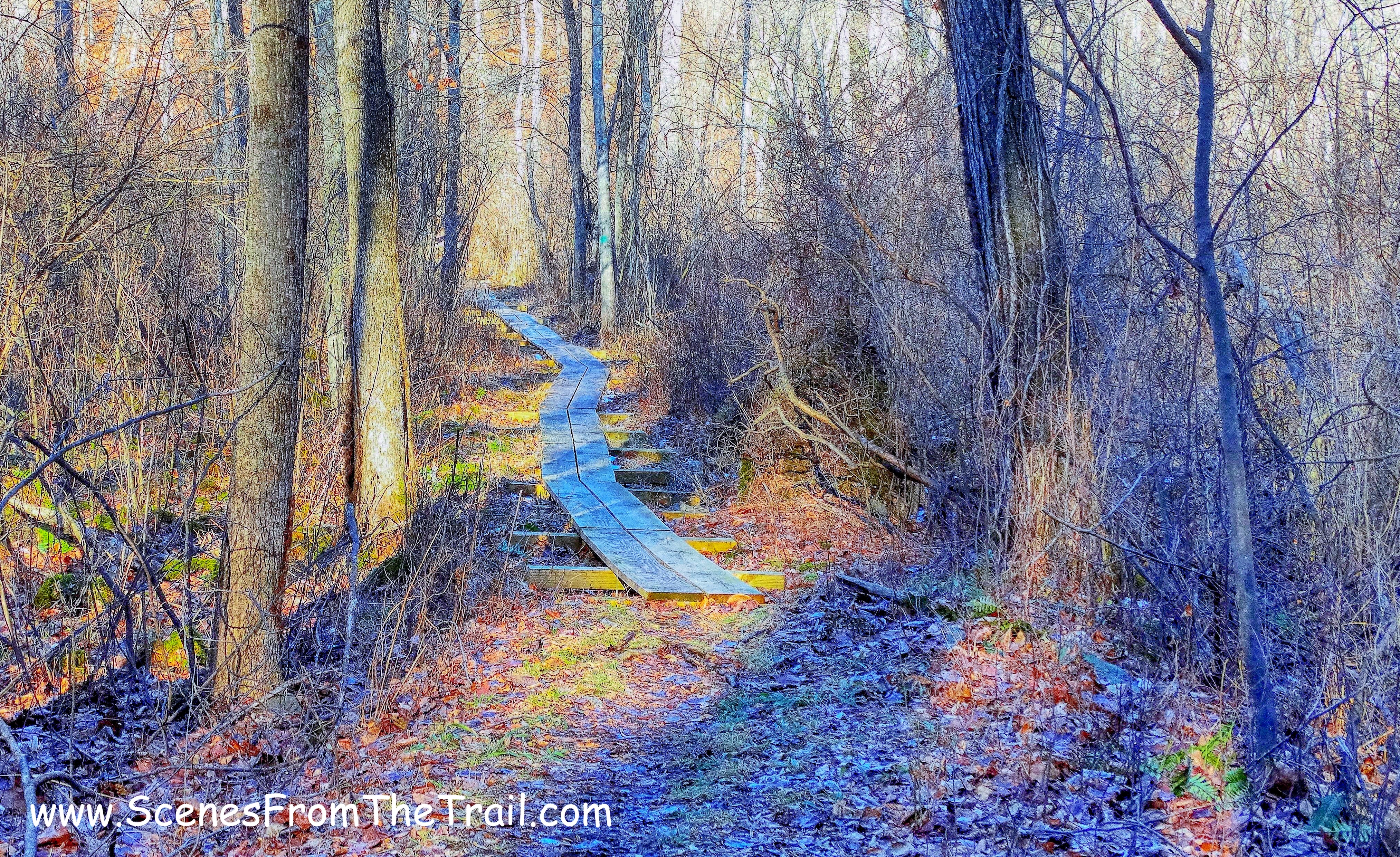 wooden puncheons - green-blazed Briarcliff-Peekskill Trail
