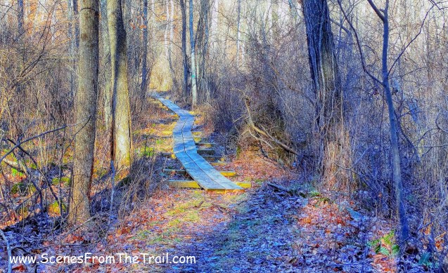 wooden puncheons - green-blazed Briarcliff-Peekskill Trail