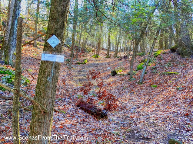 Twin Lakes connector trail