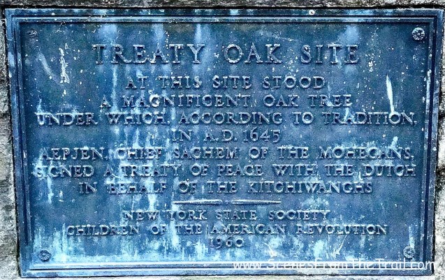Treaty Oak Monument