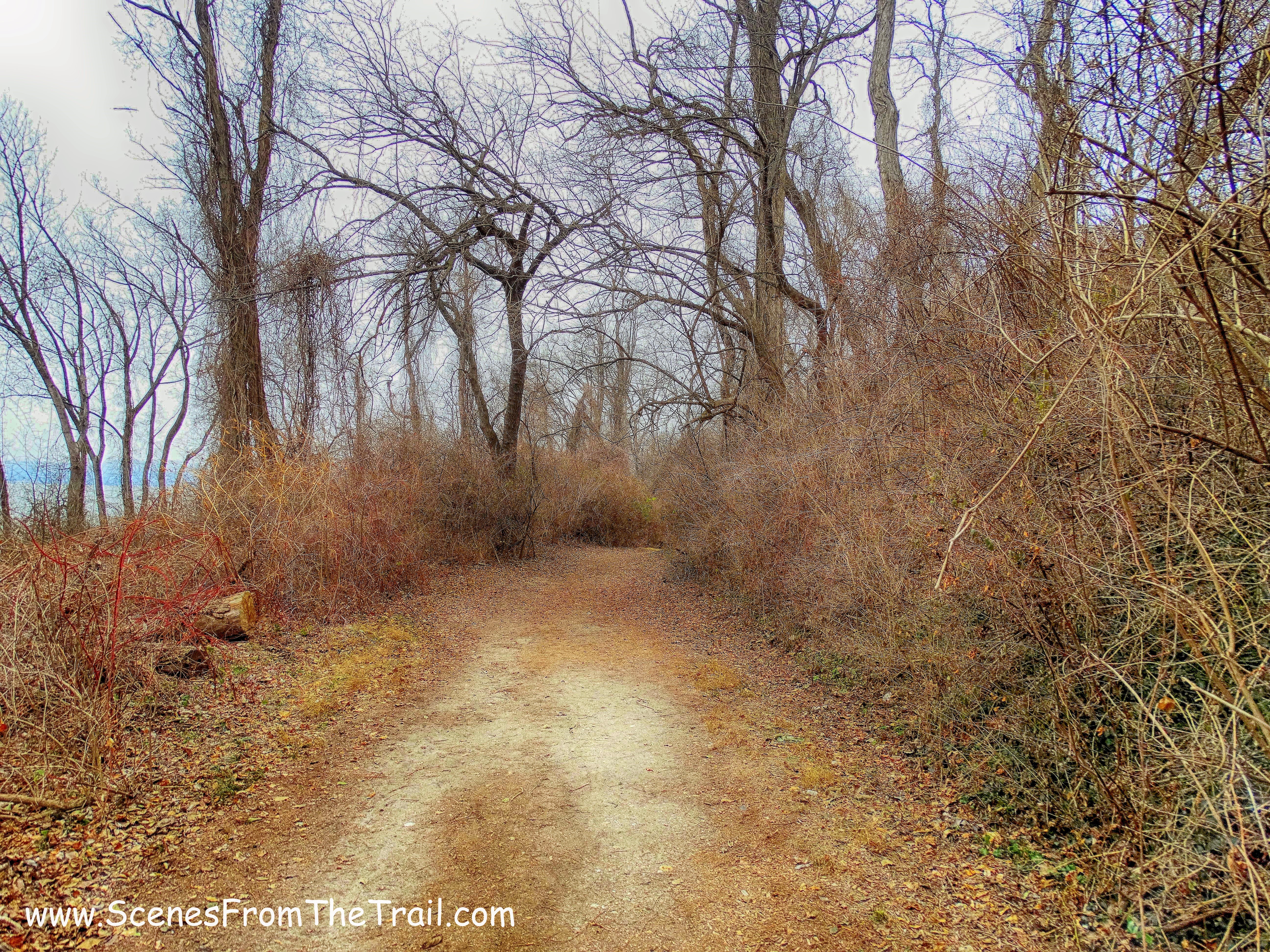 dirt road