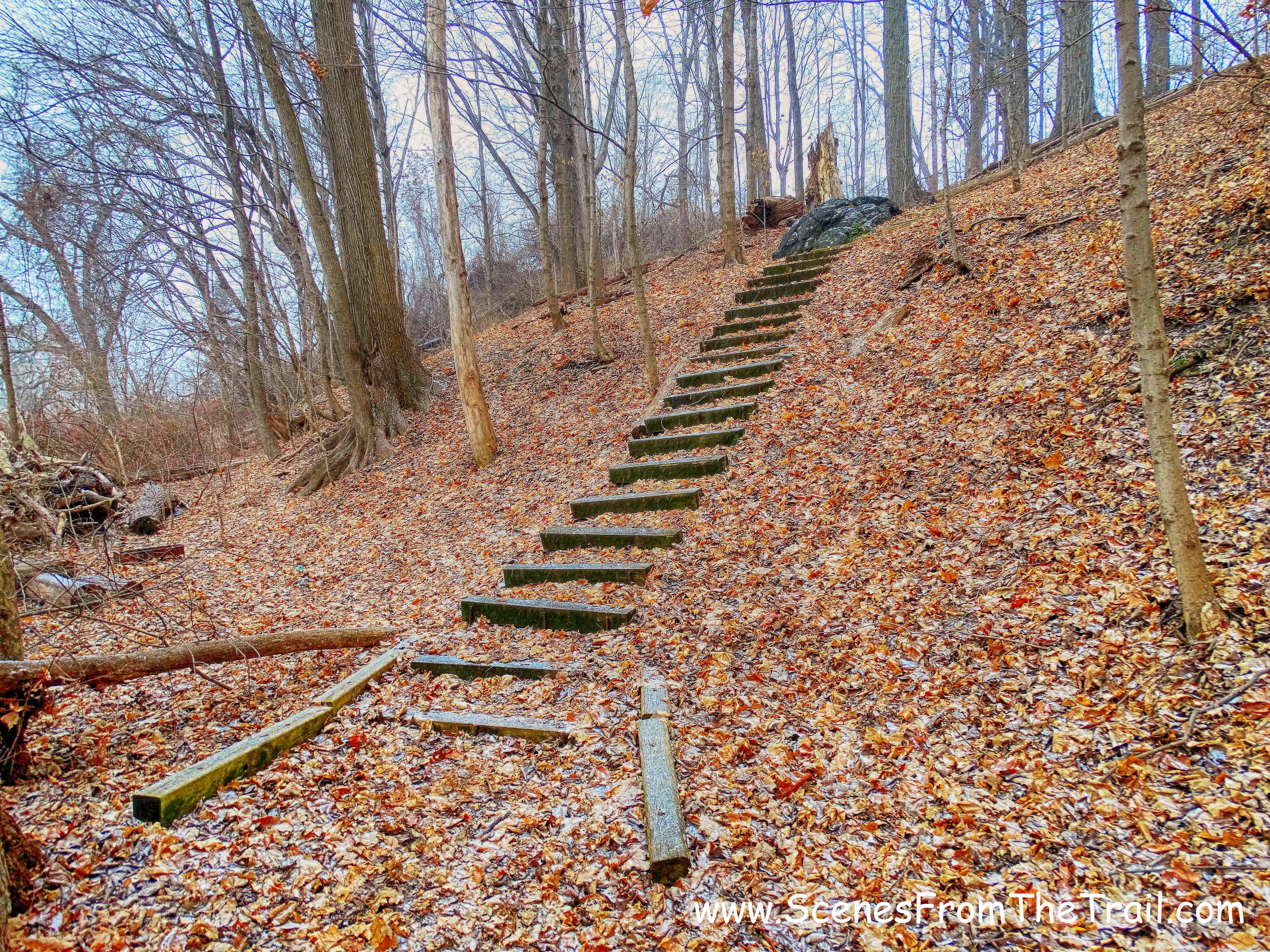 wooden steps