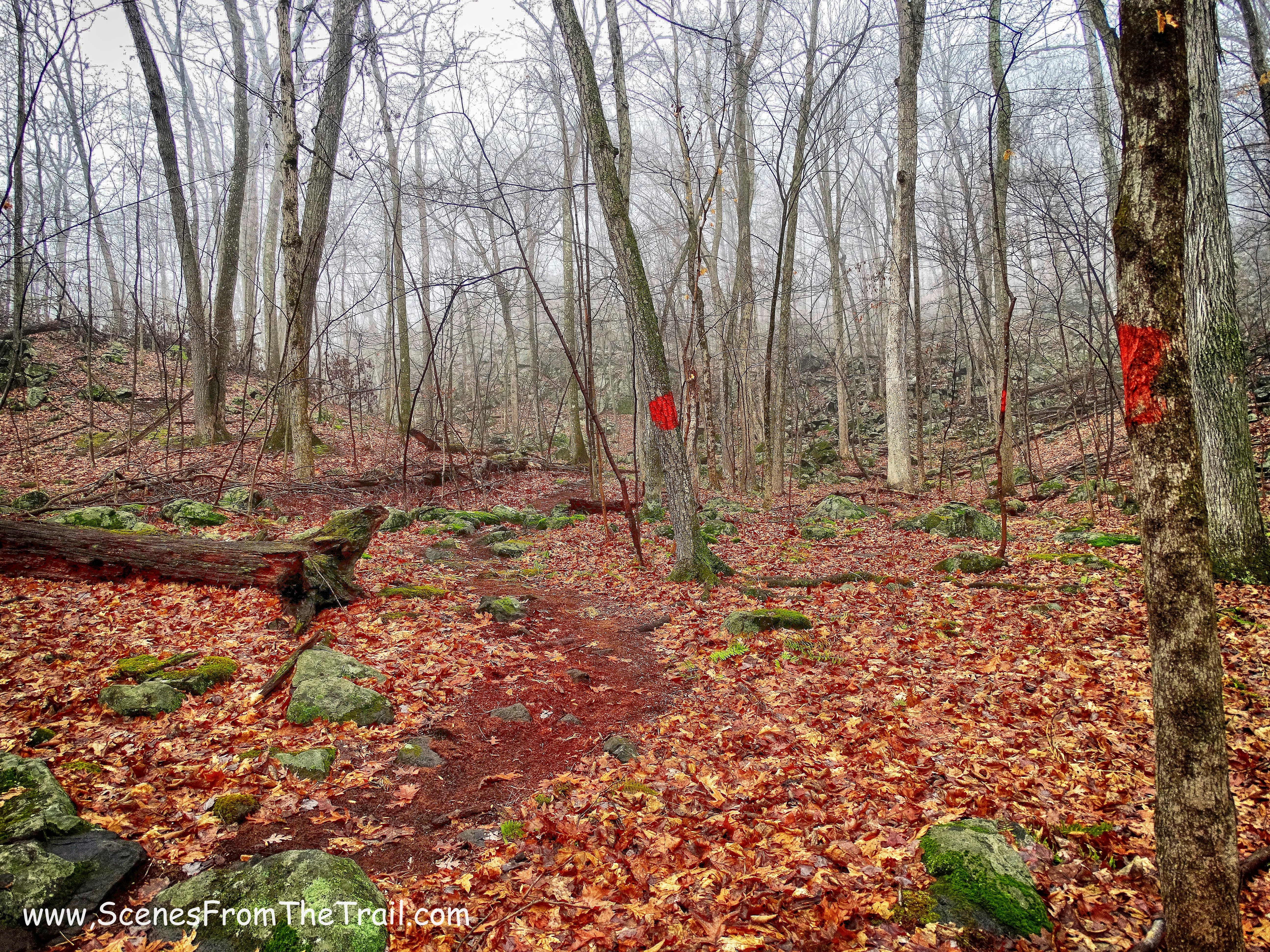 red-blazed trail