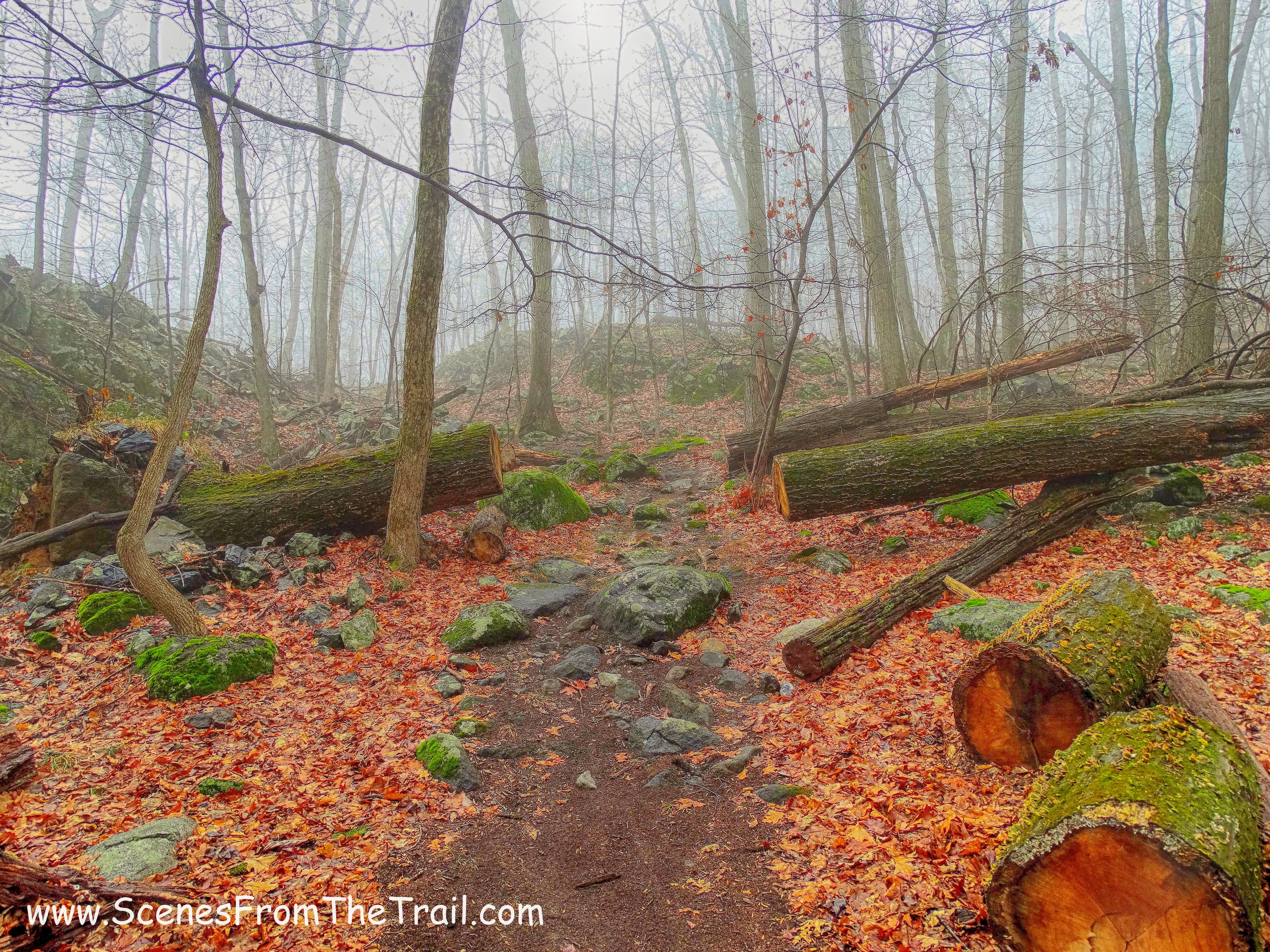 red-blazed trail