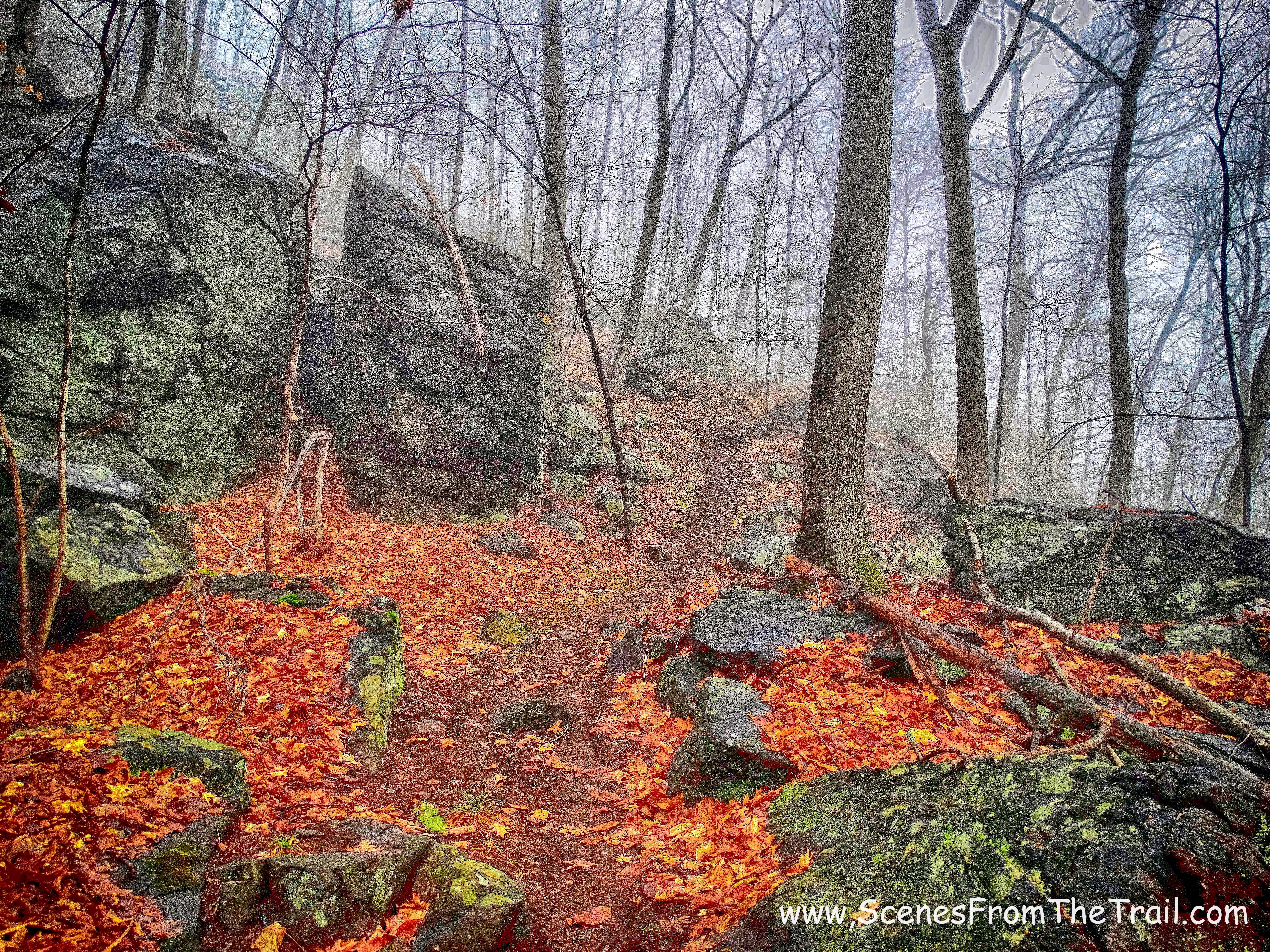 red-blazed trail