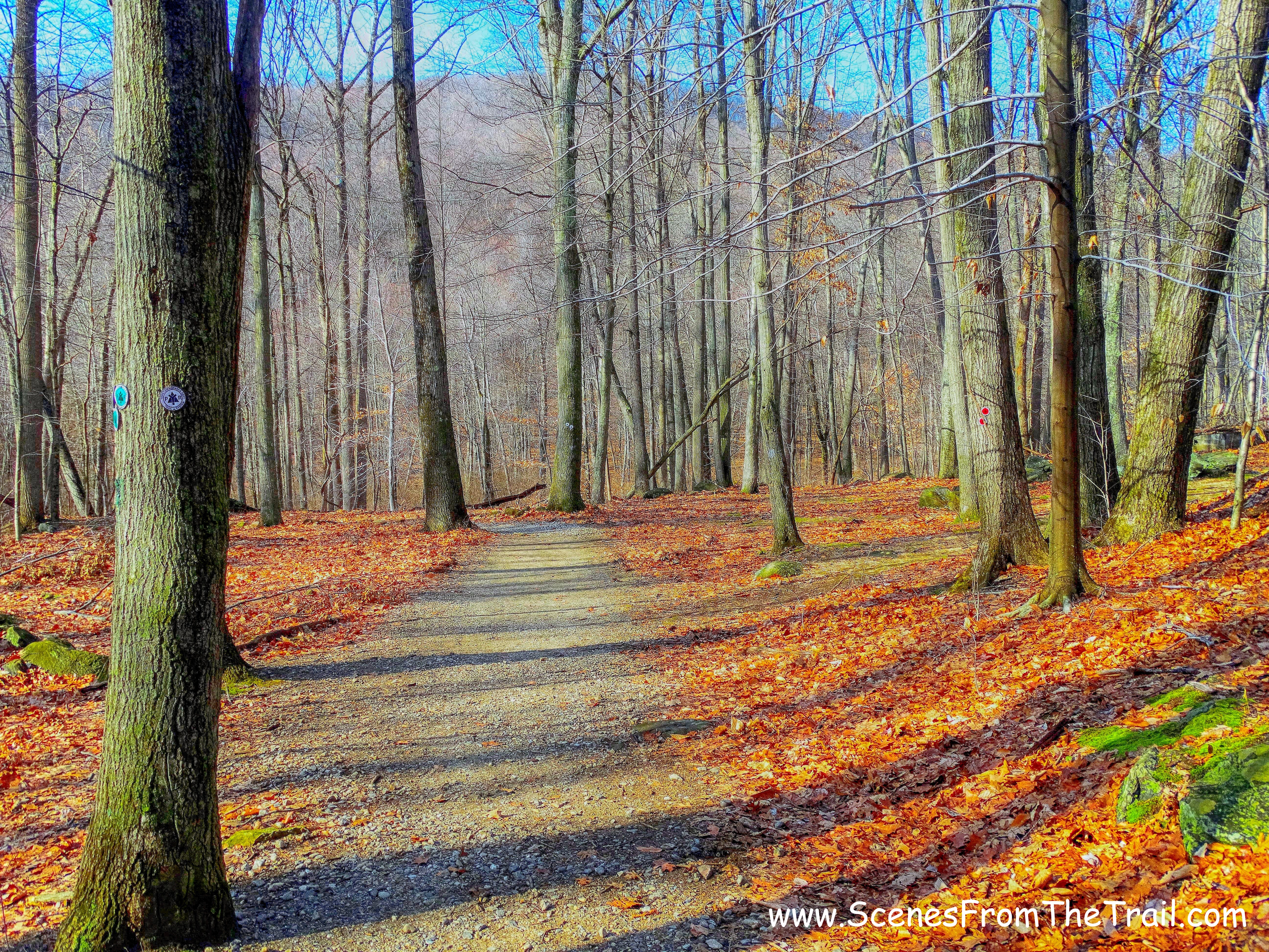 White-blazed trail