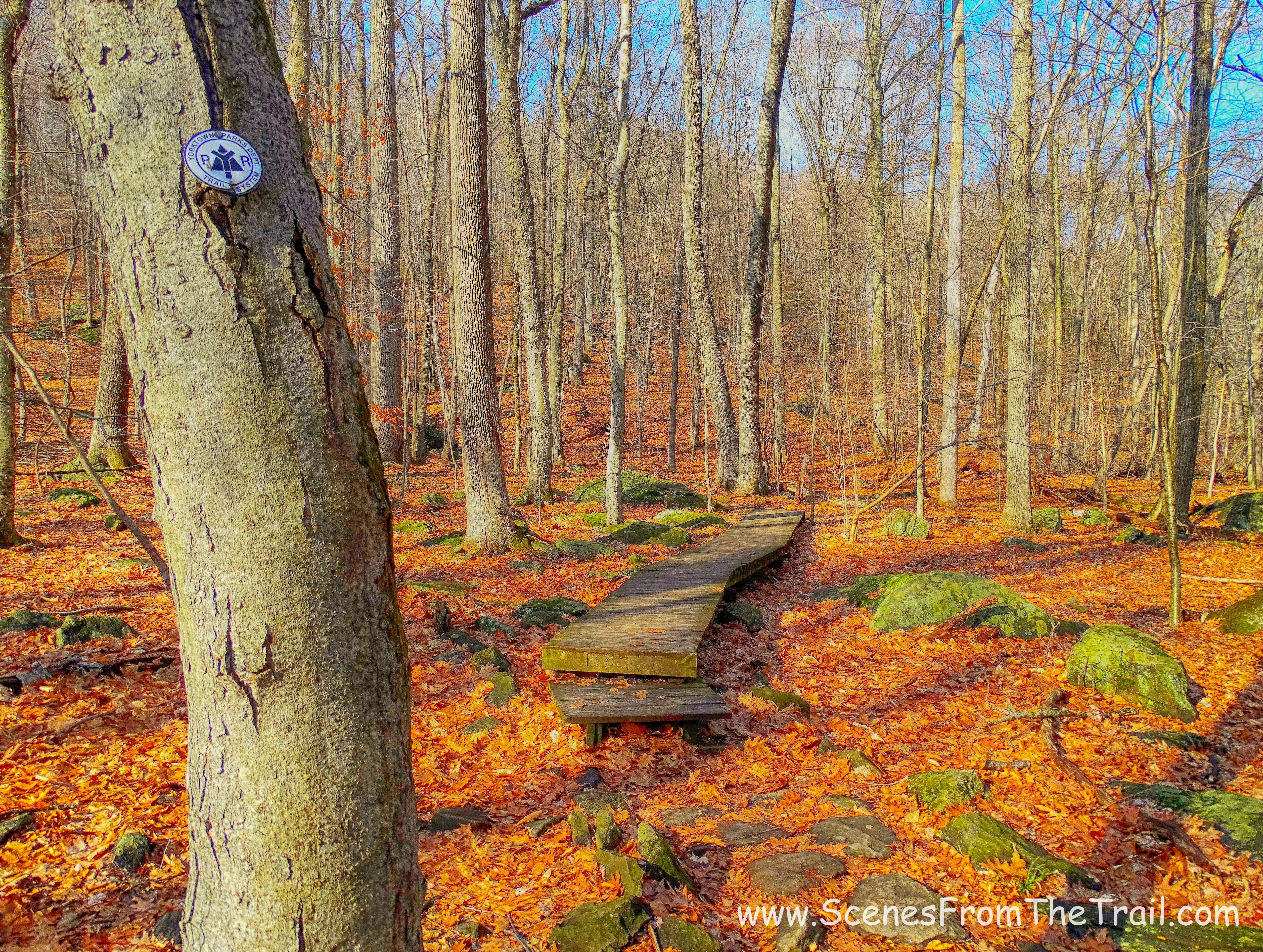 White-blazed trail