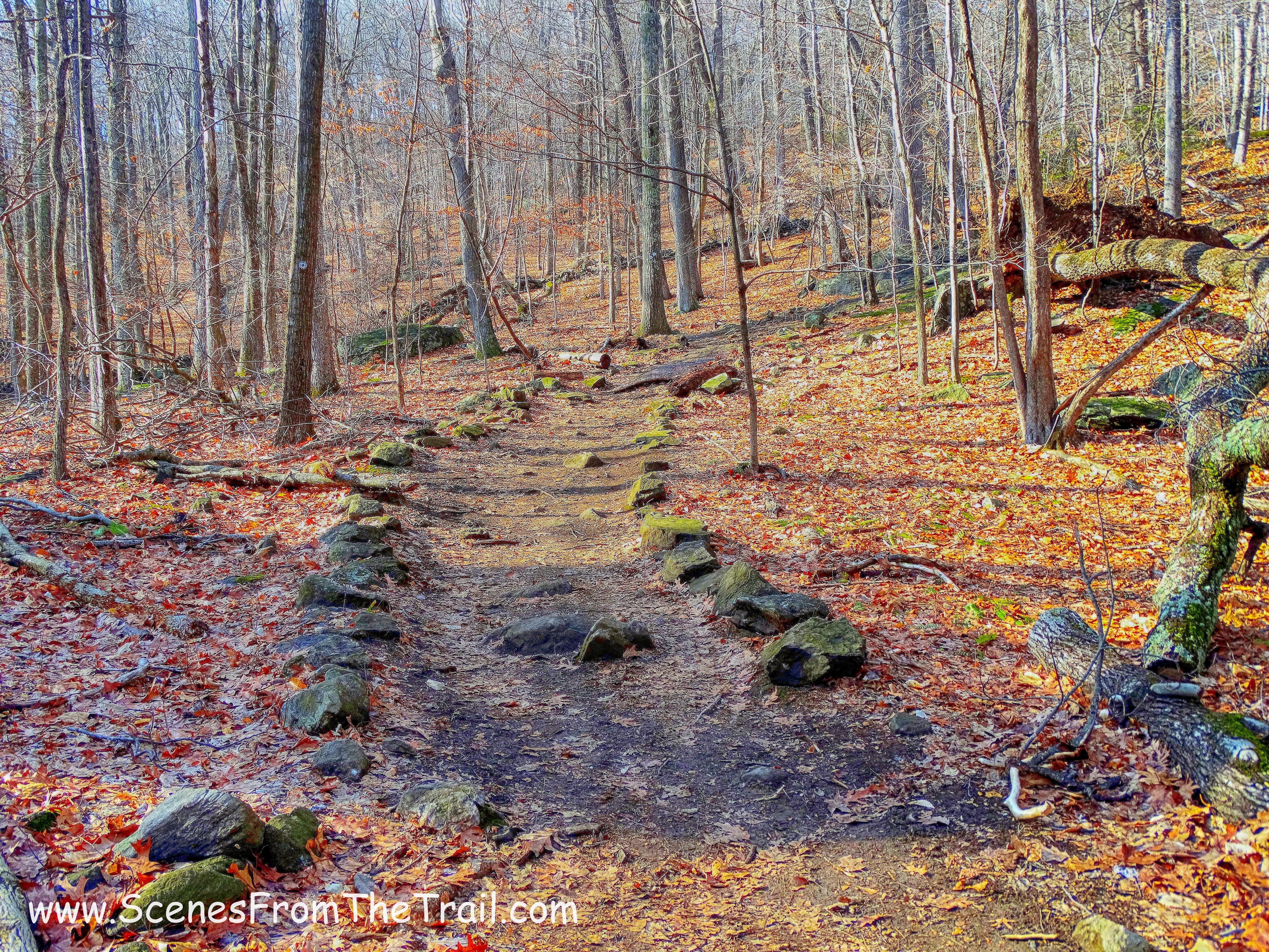 White-blazed trail