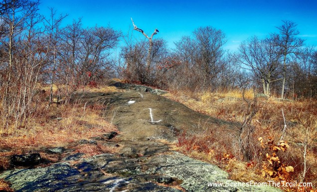 approaching the summit
