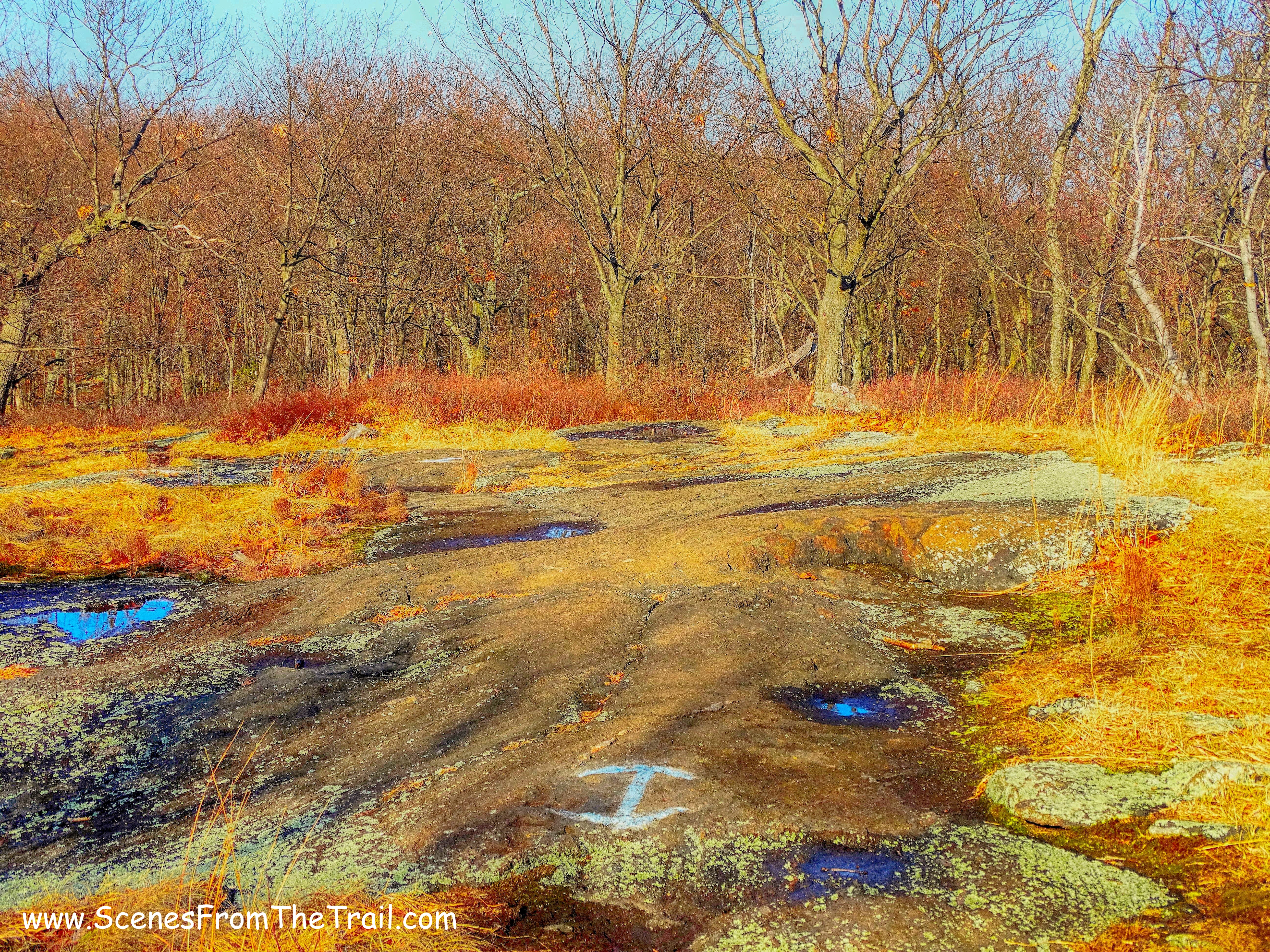 blue-blazed trail