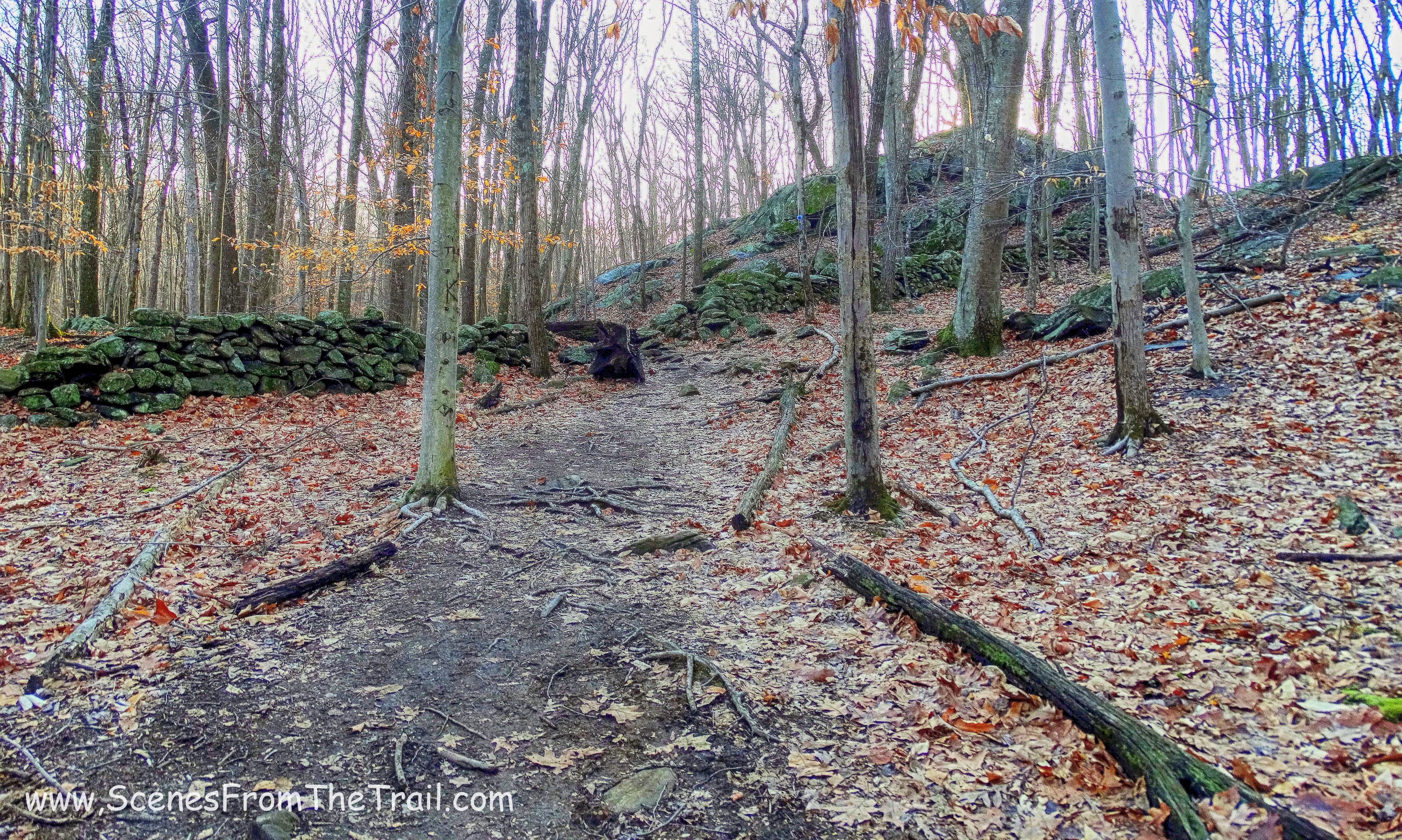 blue-blazed trail