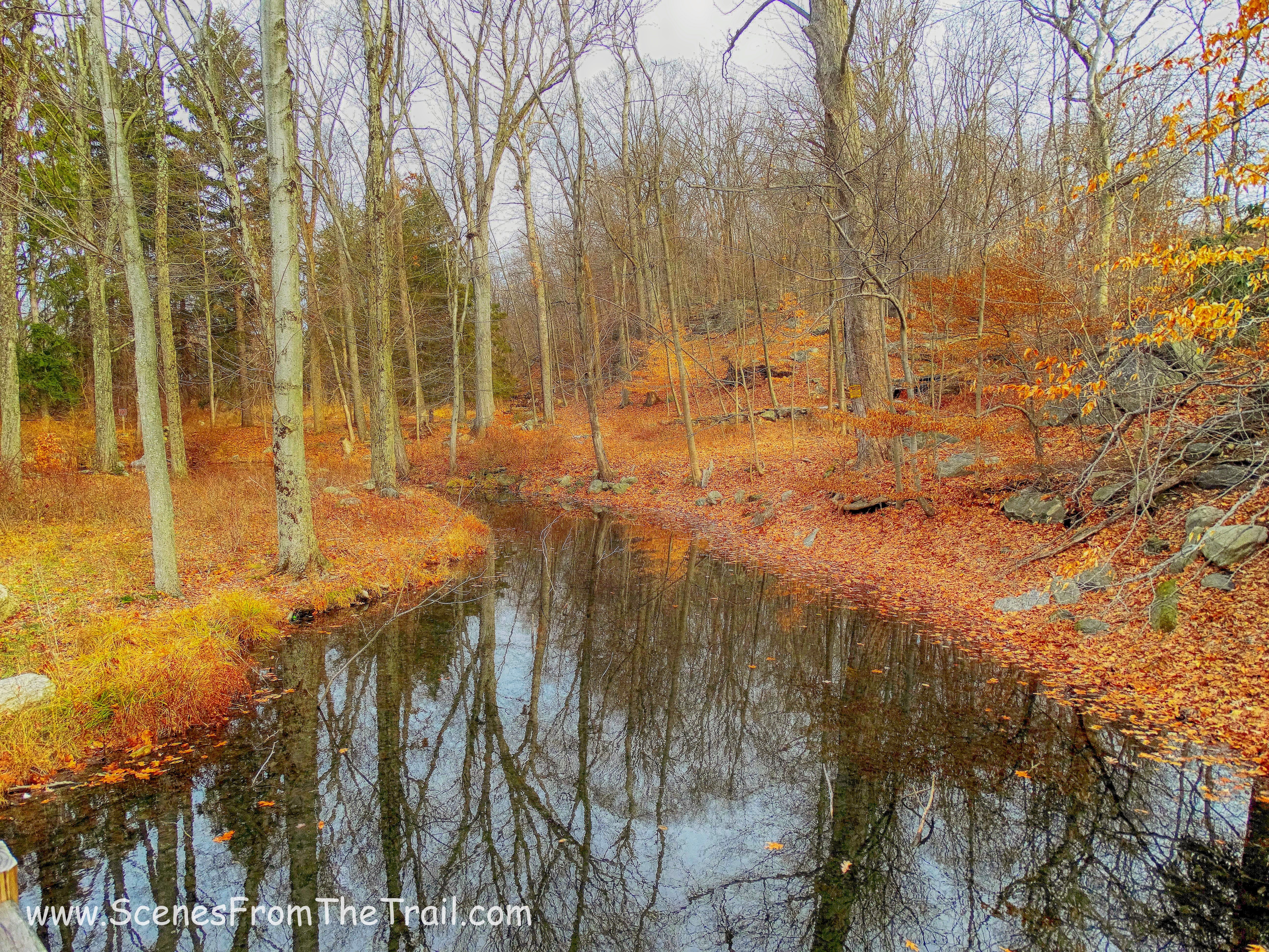 Glenville Woods Park Preserve