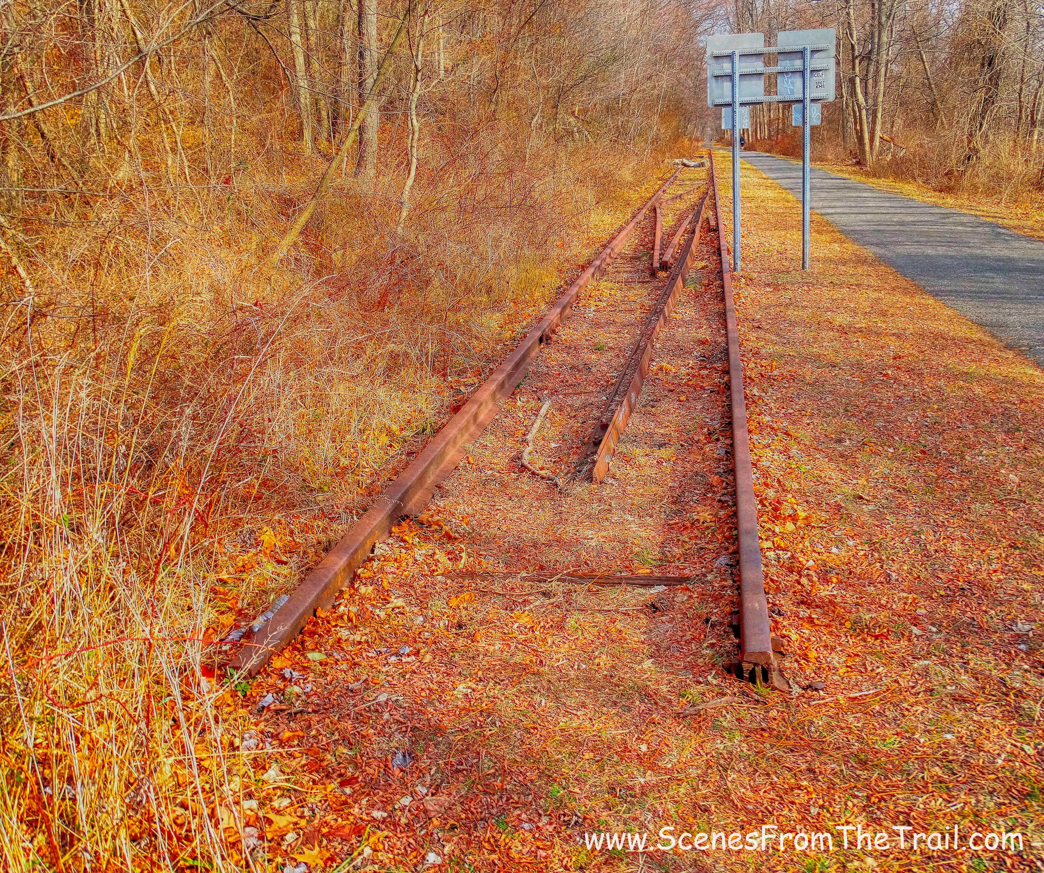 tracks