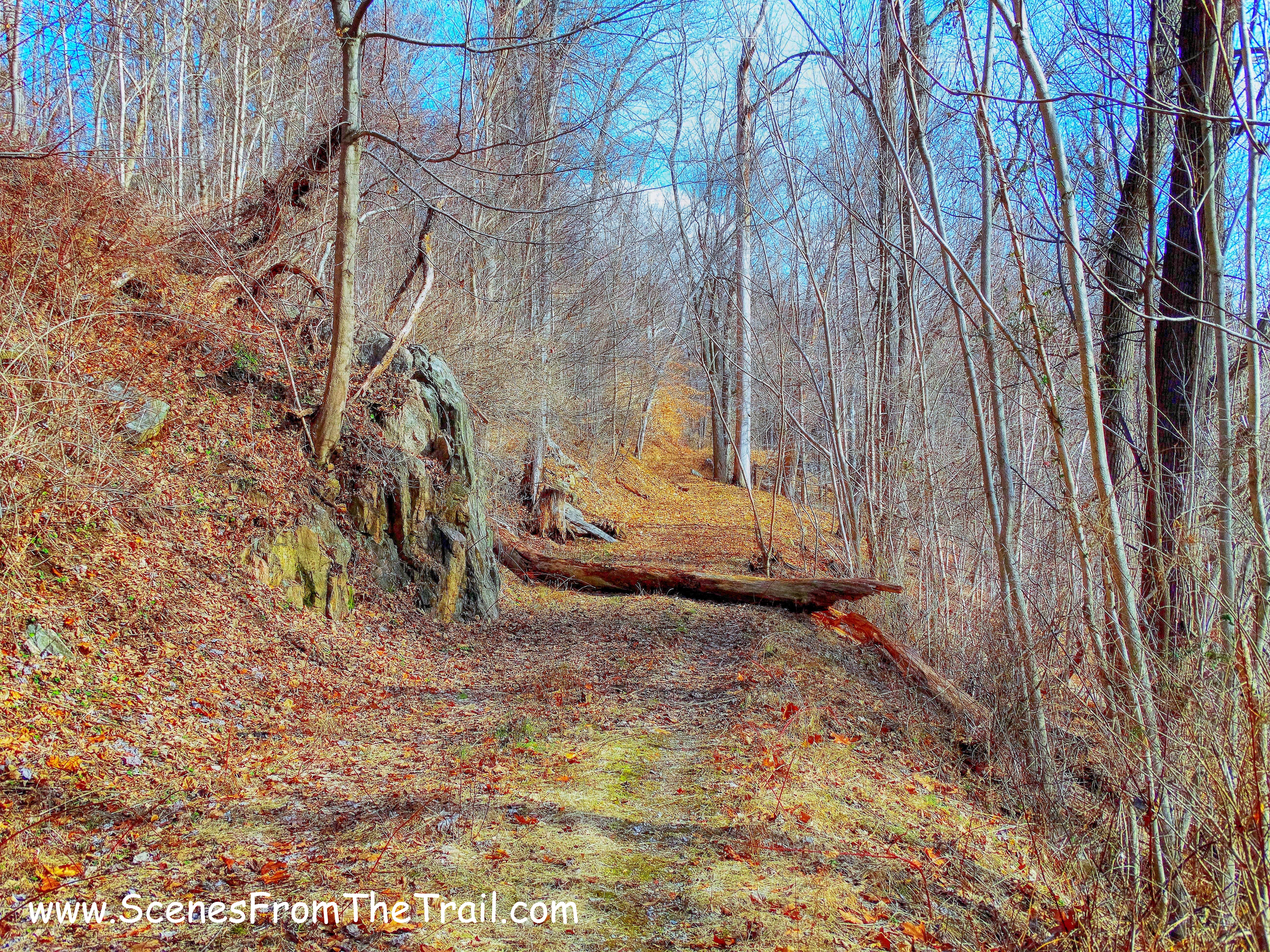 Raven's Rock trail