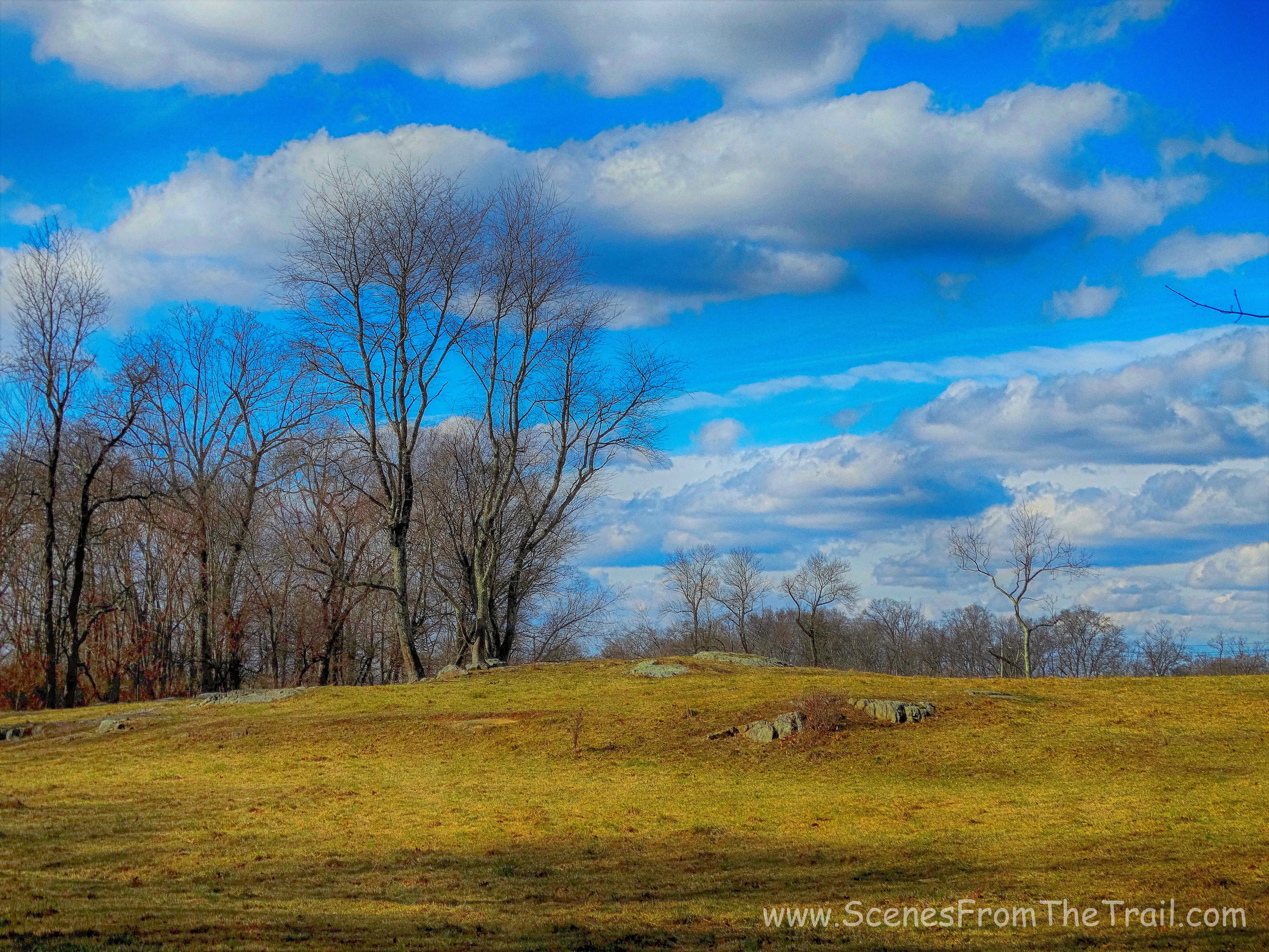 field