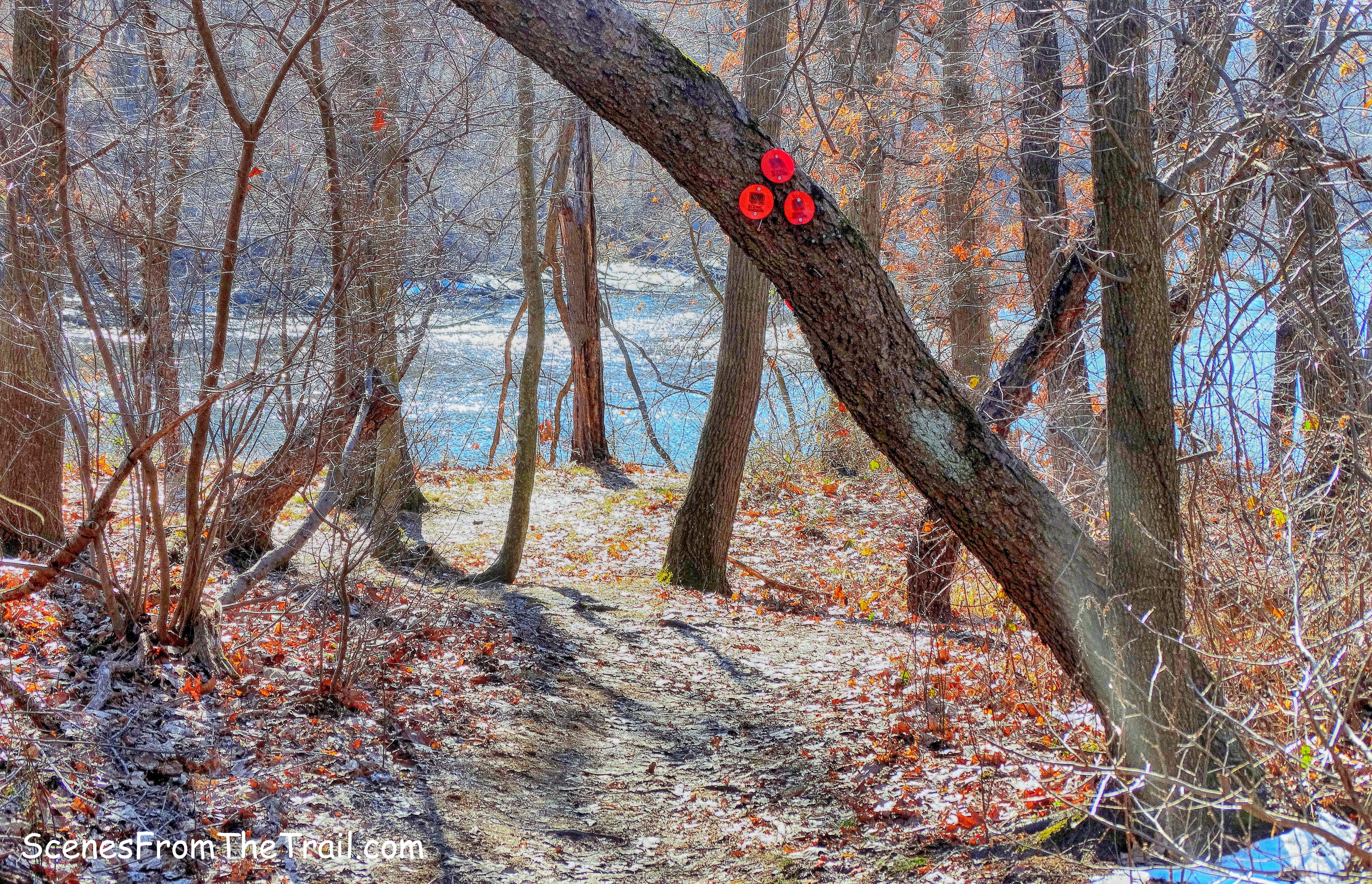 red-blazed trail