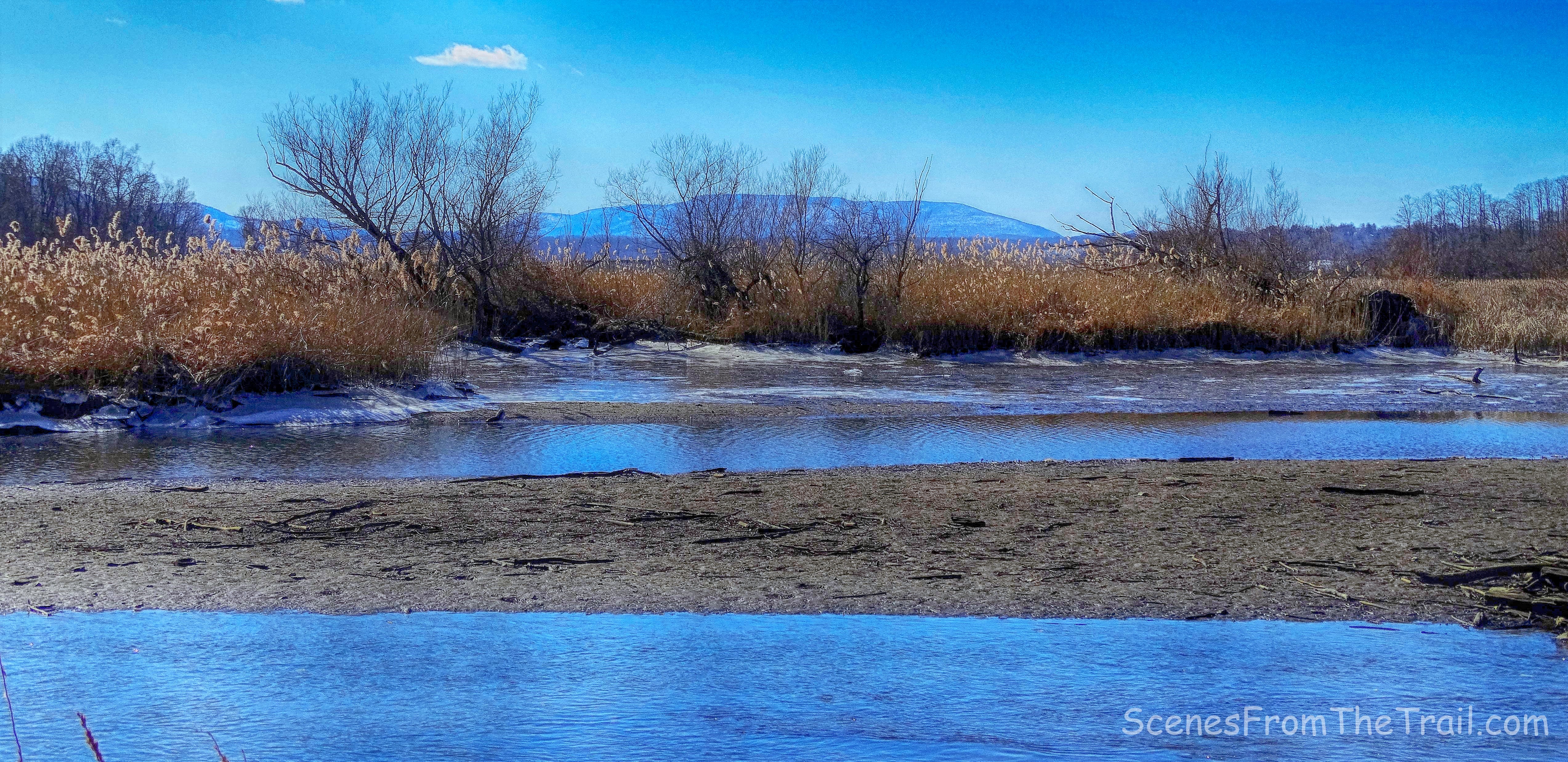 Fishkill Marsh