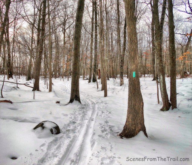 Aqua-blazed Long Path
