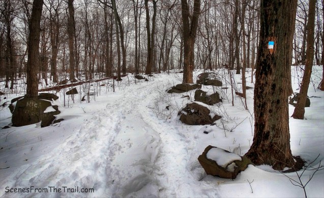 Blue/White-blazed Forest View Trail