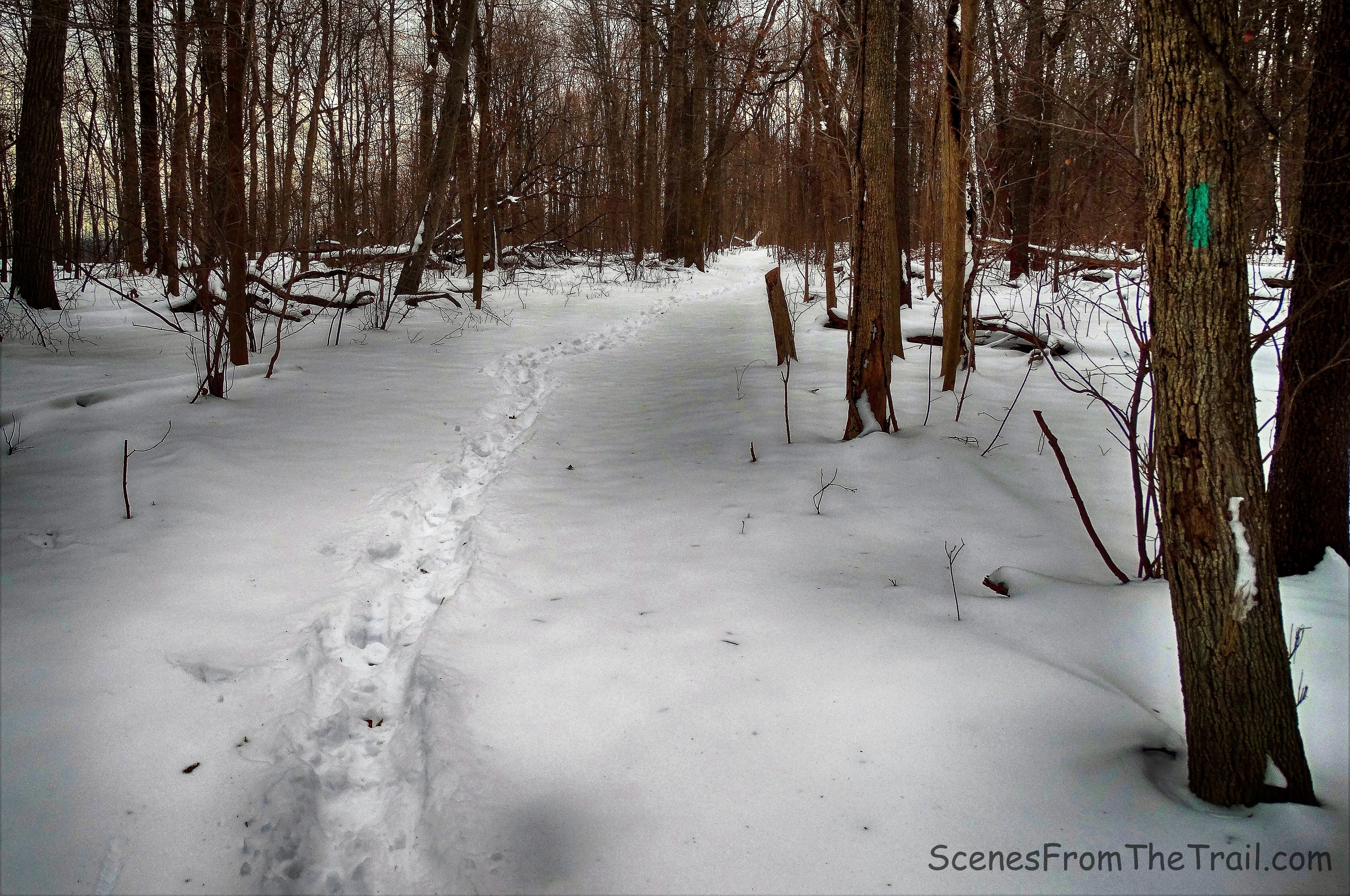 Long Path