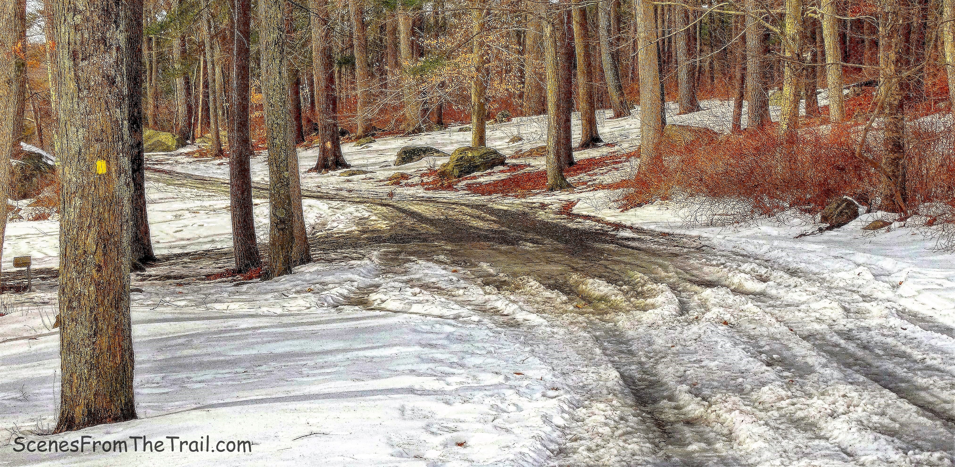 yellow-blazed Menomine Trail