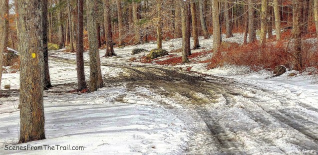 yellow-blazed Menomine Trail