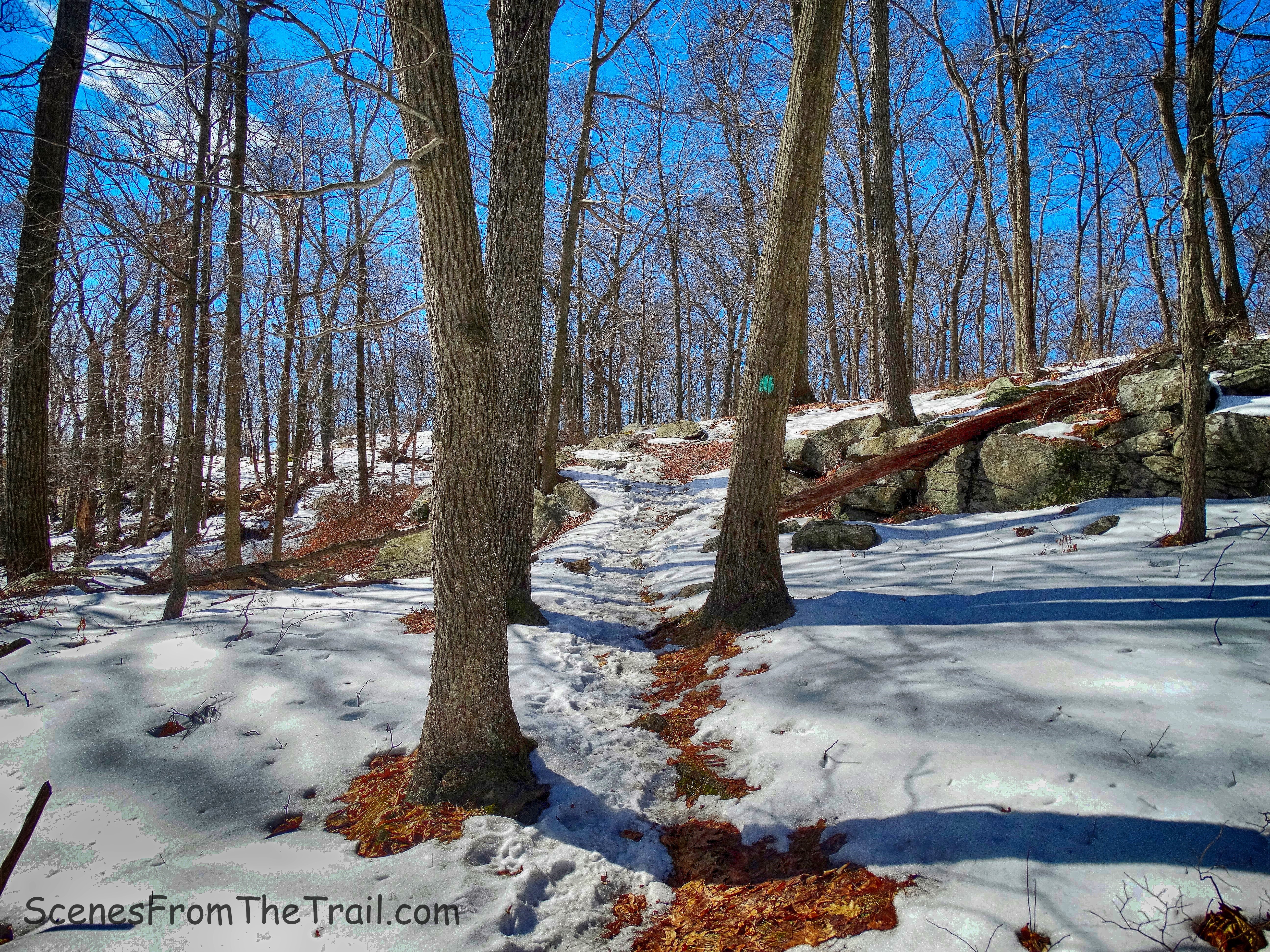 Long Path - Stockbridge Mountain