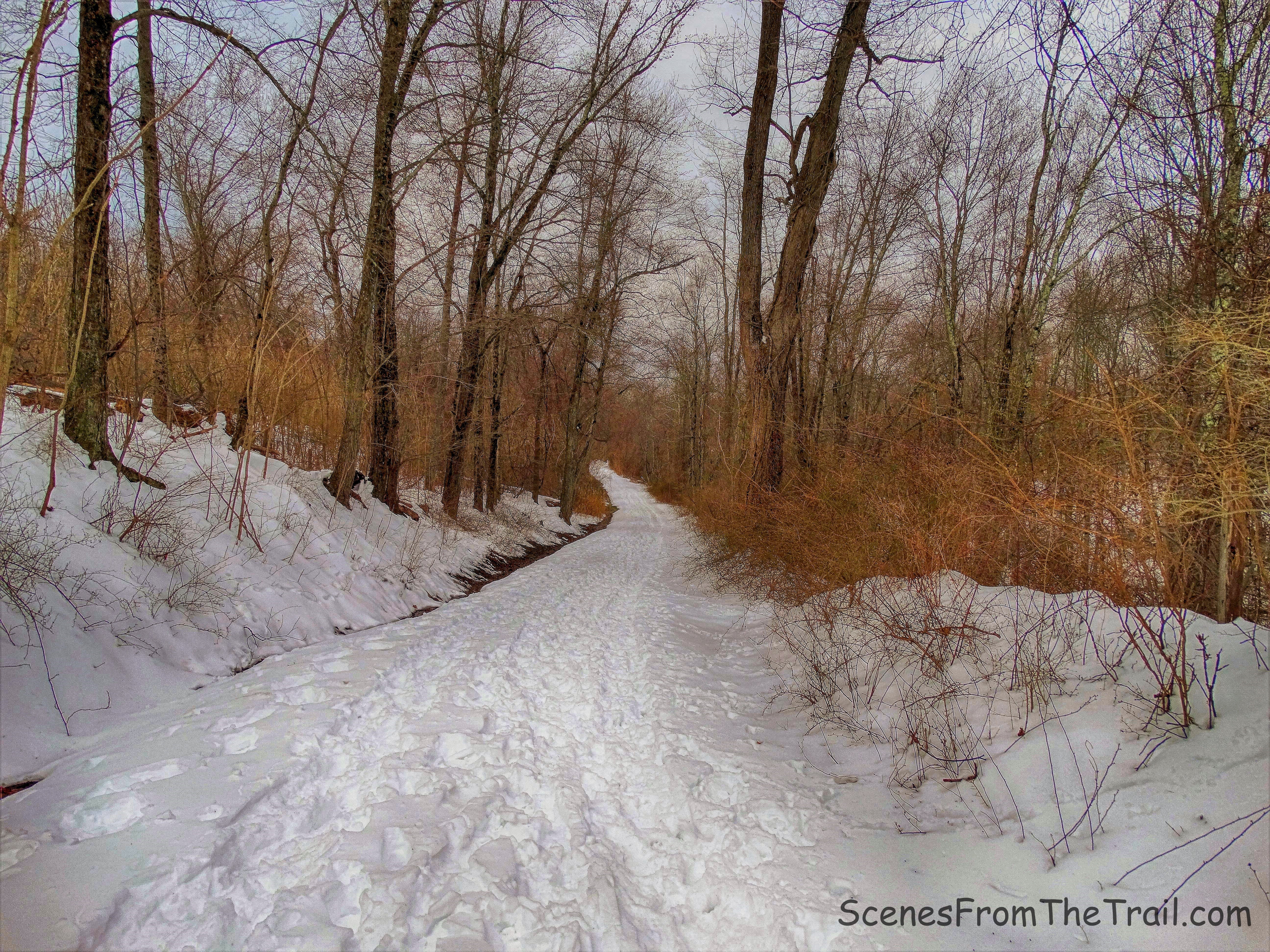 Old Sleepy Hollow Road Trail