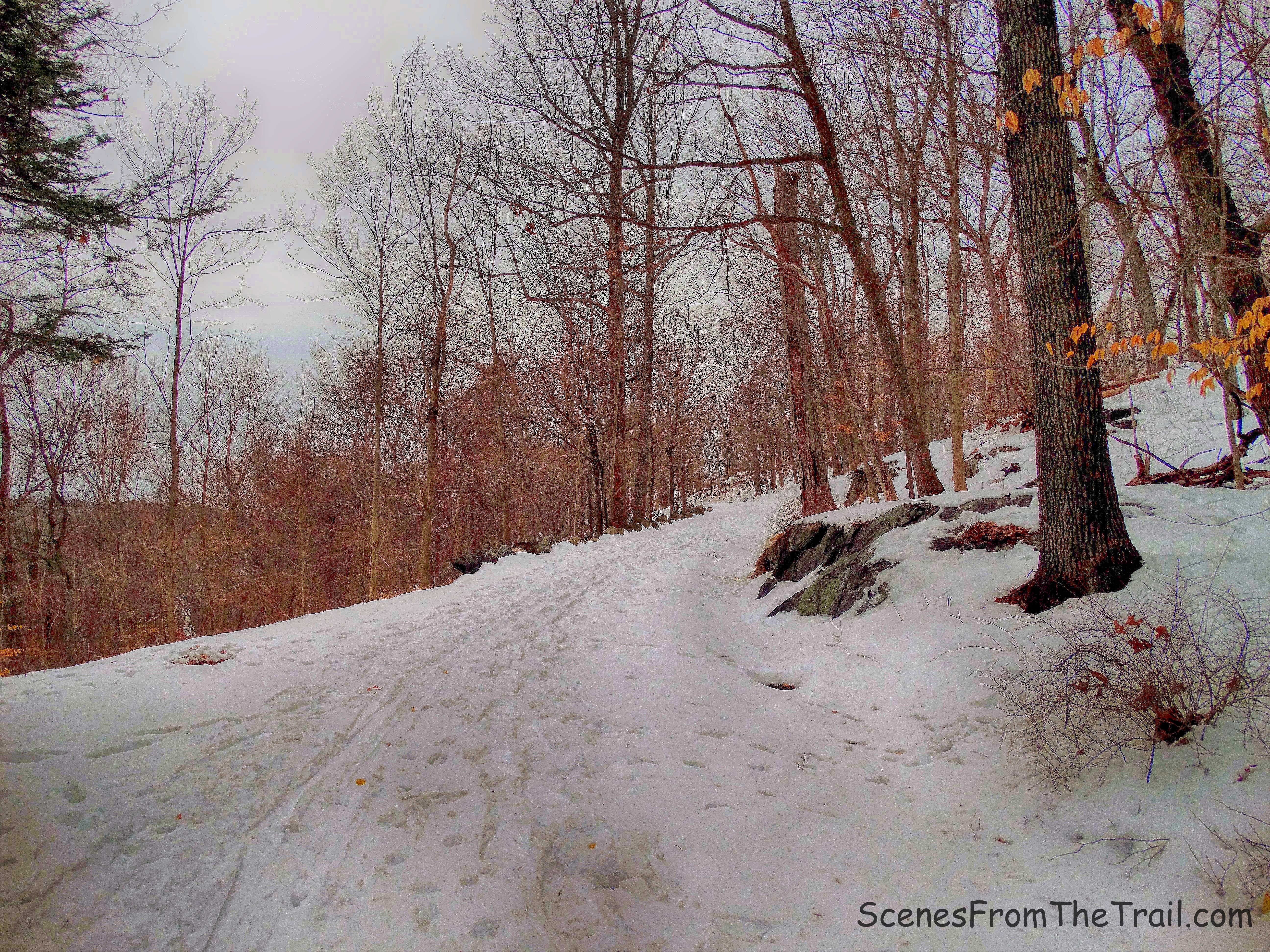 Eagle Hill Trail