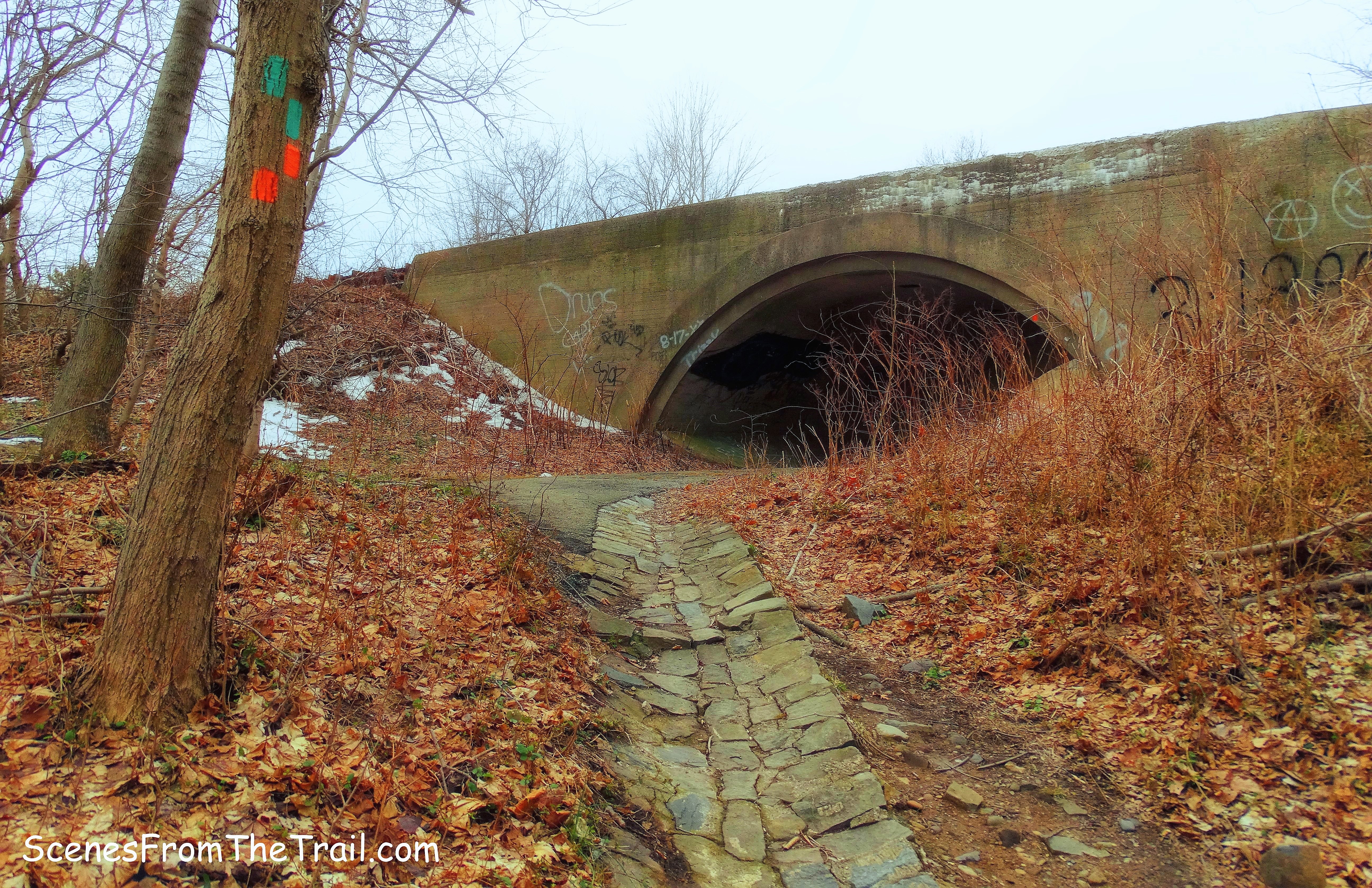 Long Path and Closter Dock Trail
