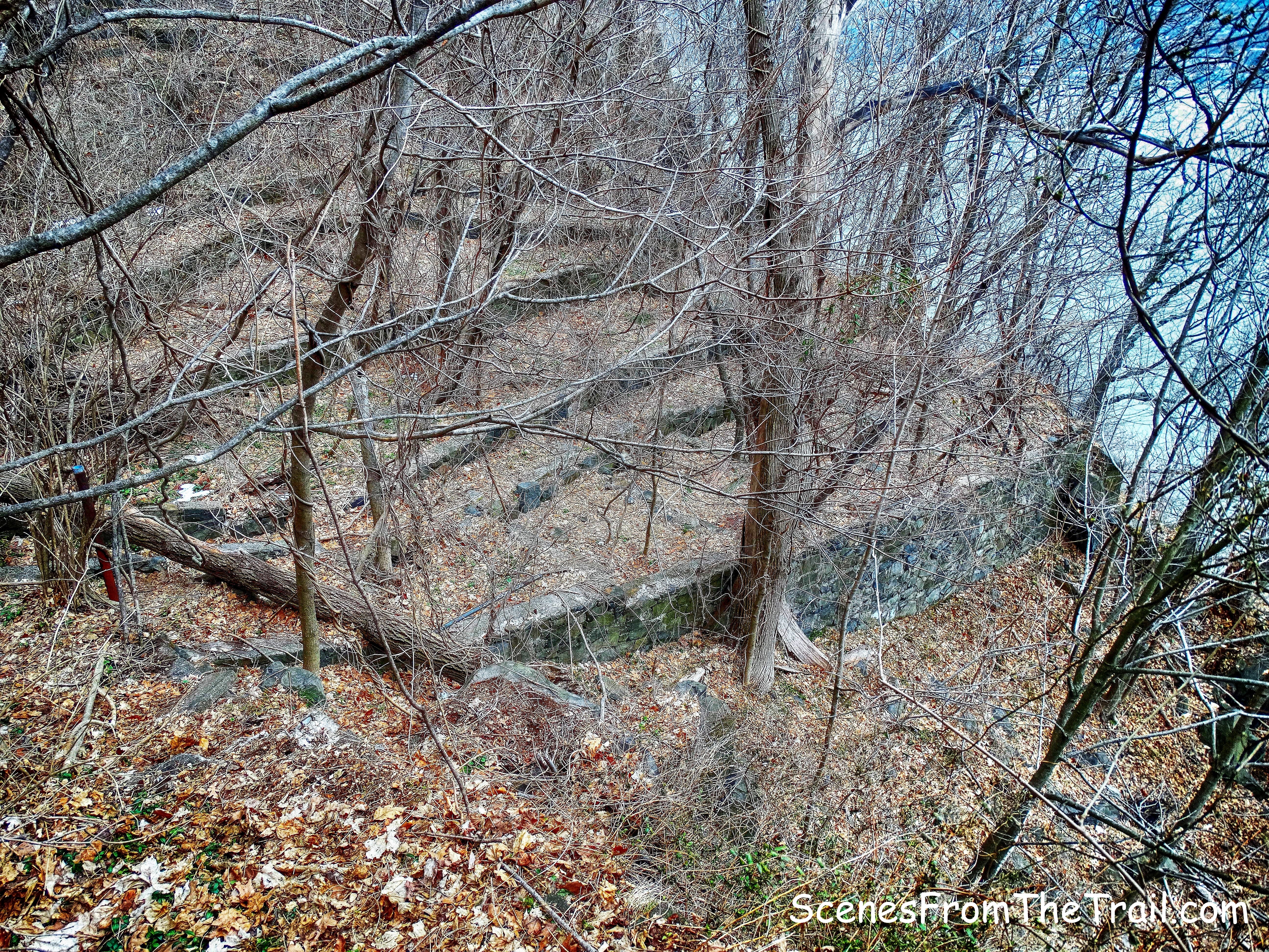 terraced gardens