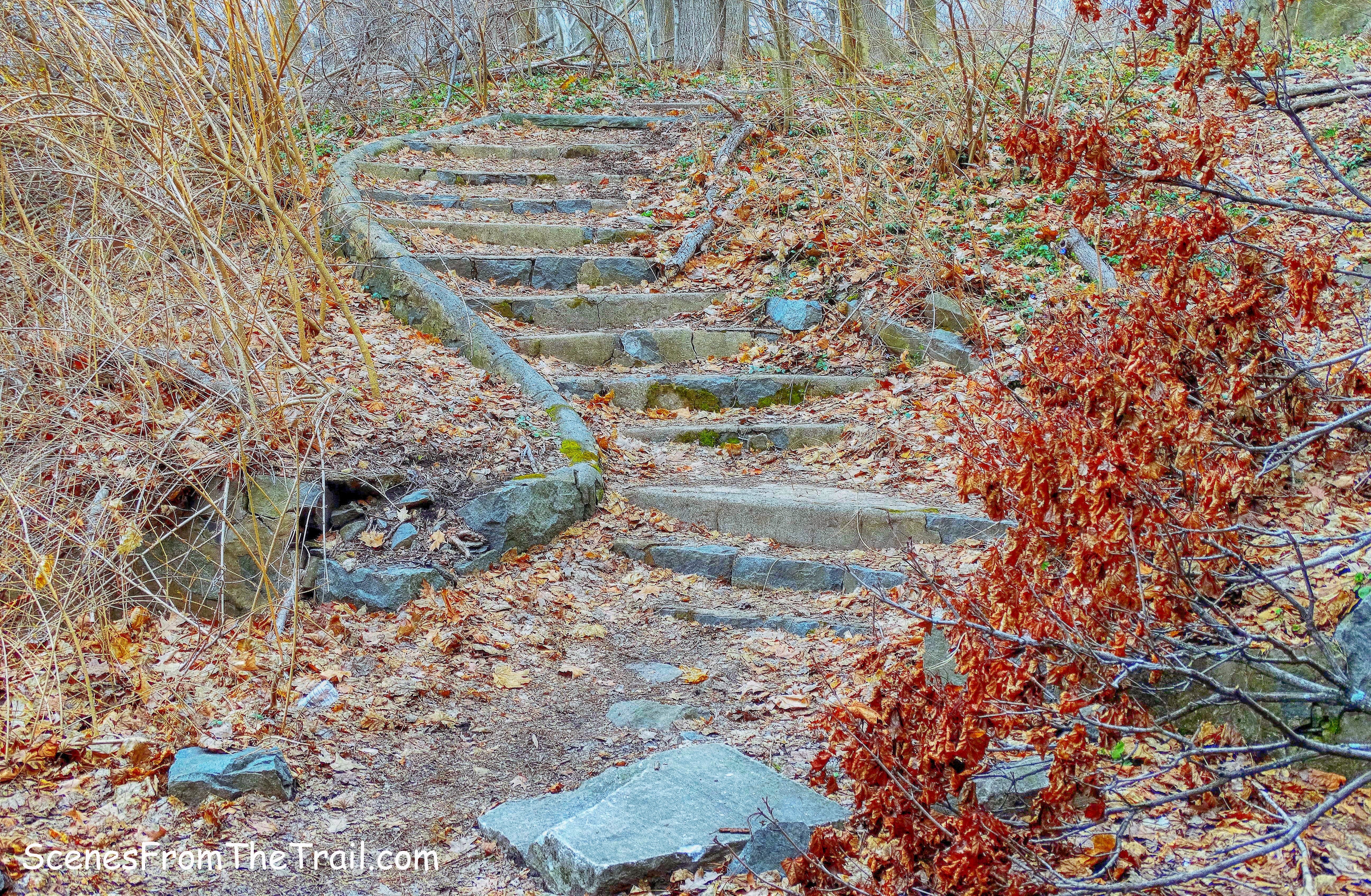 stairs leading to the Long Path