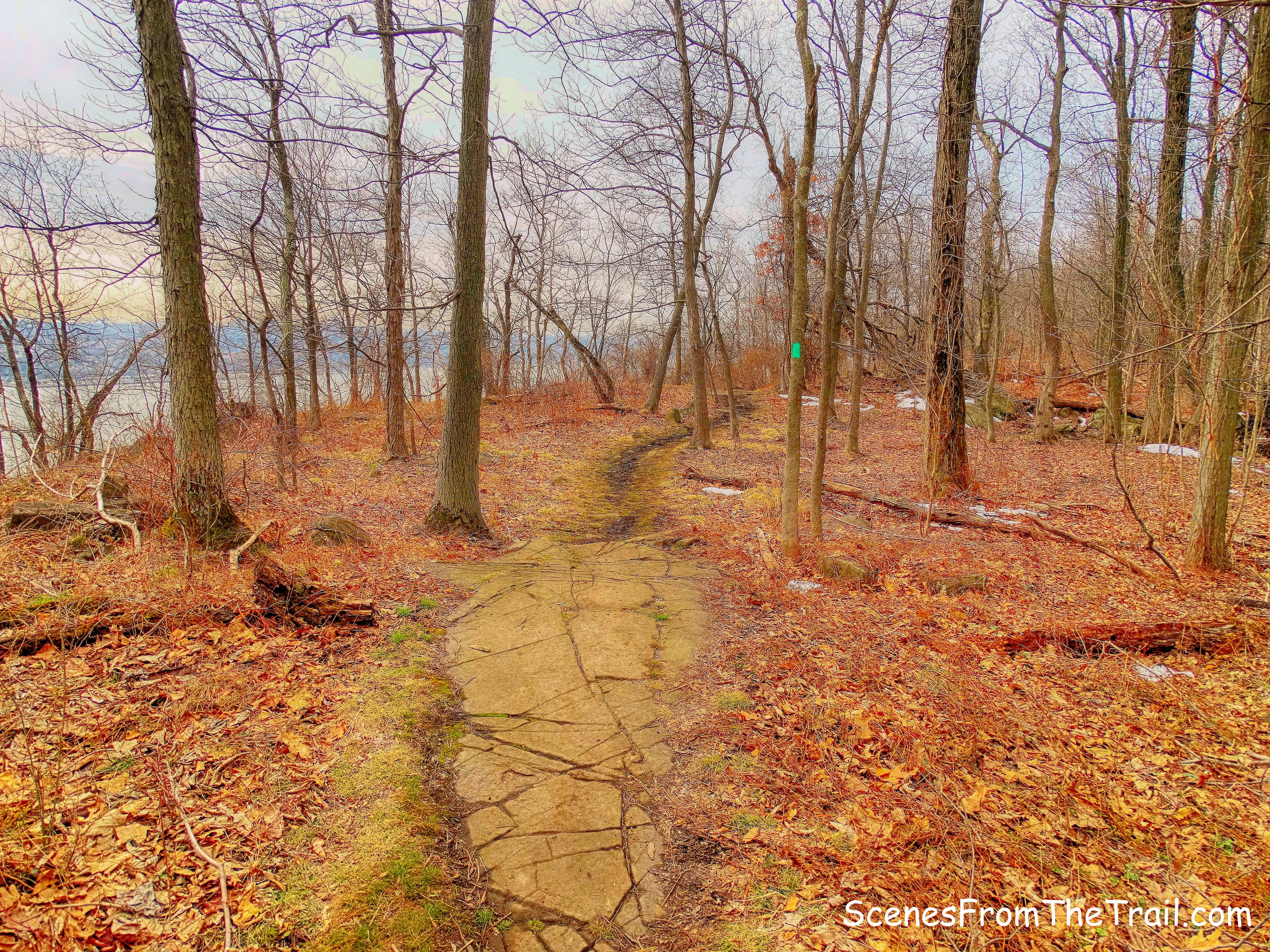the Long Path