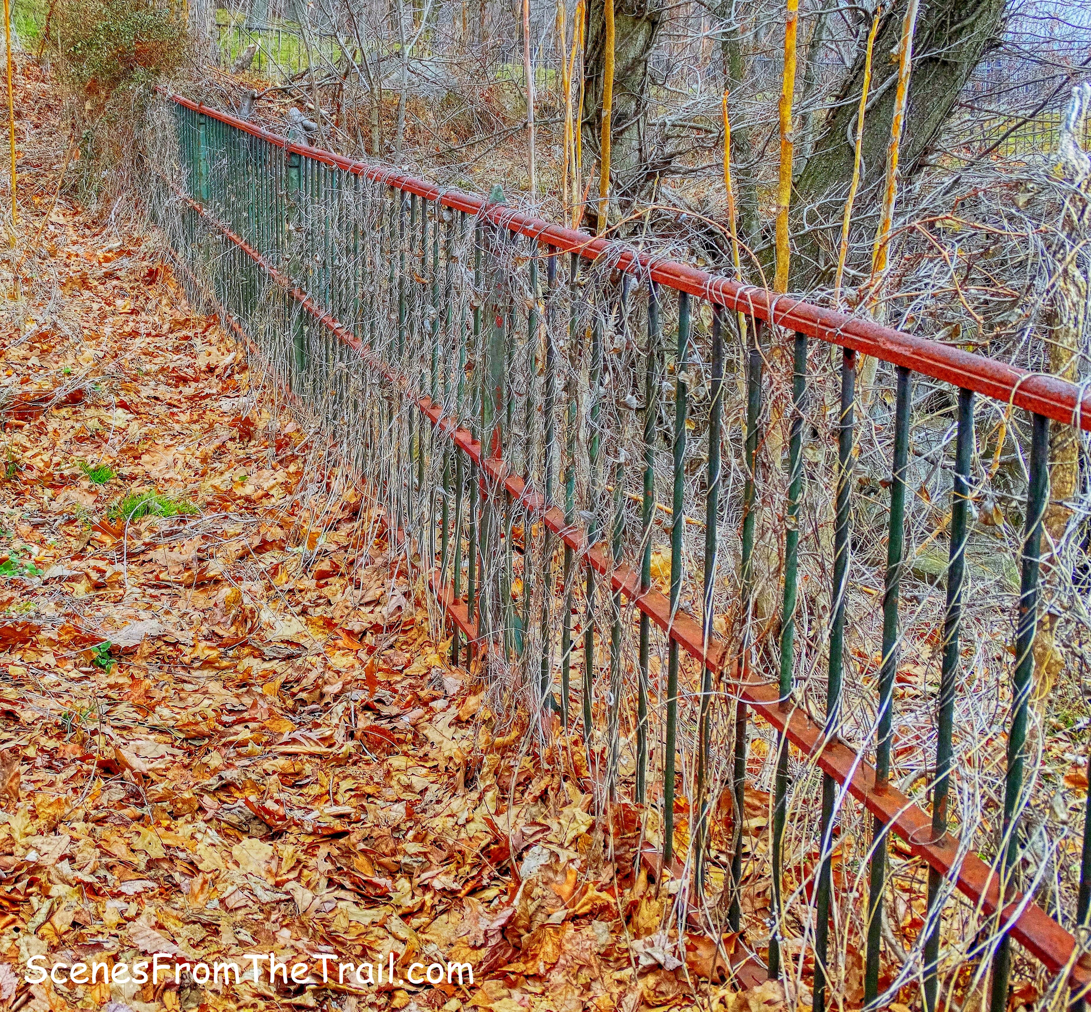 wrought iron fencing