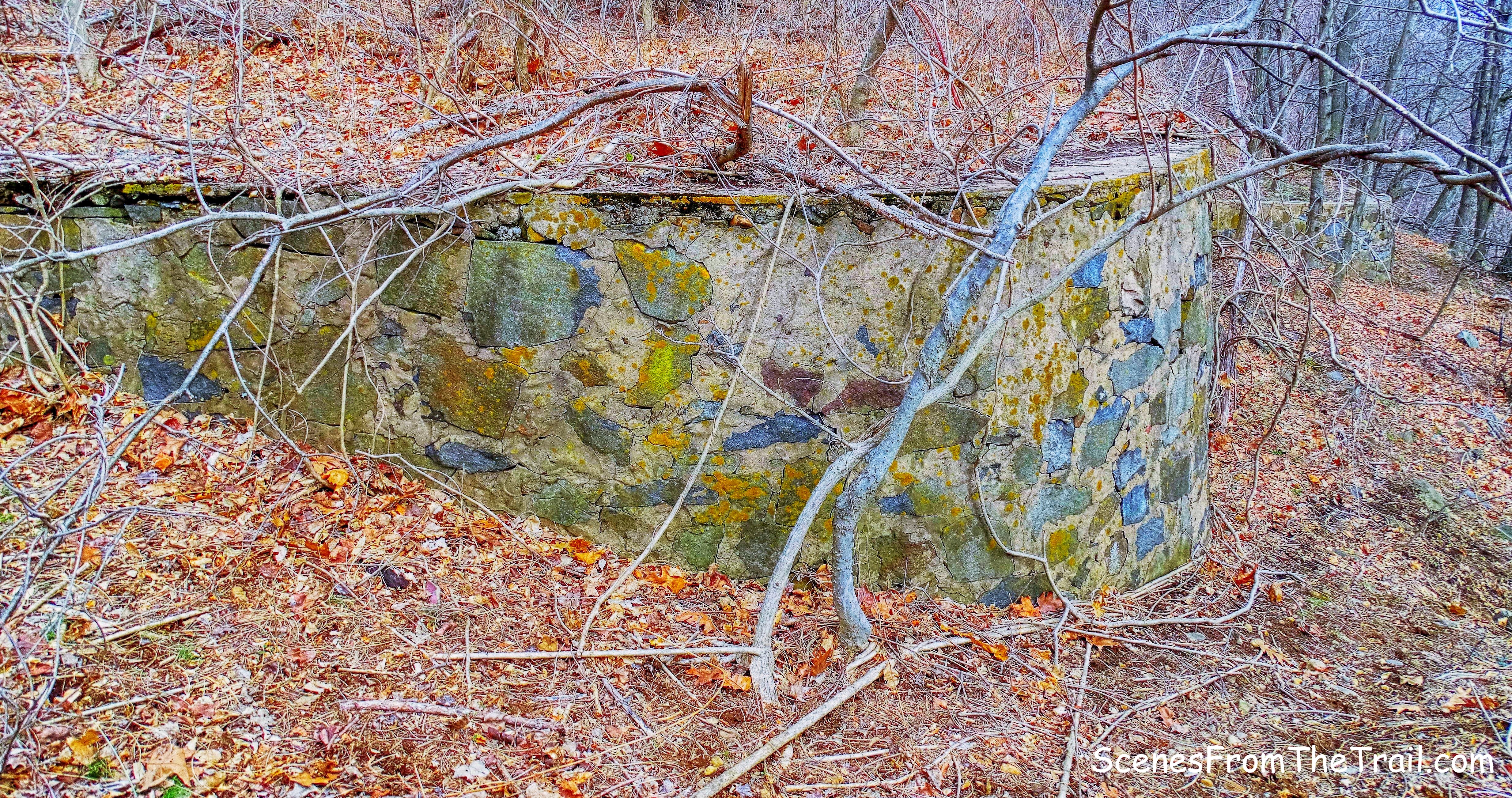 foundation