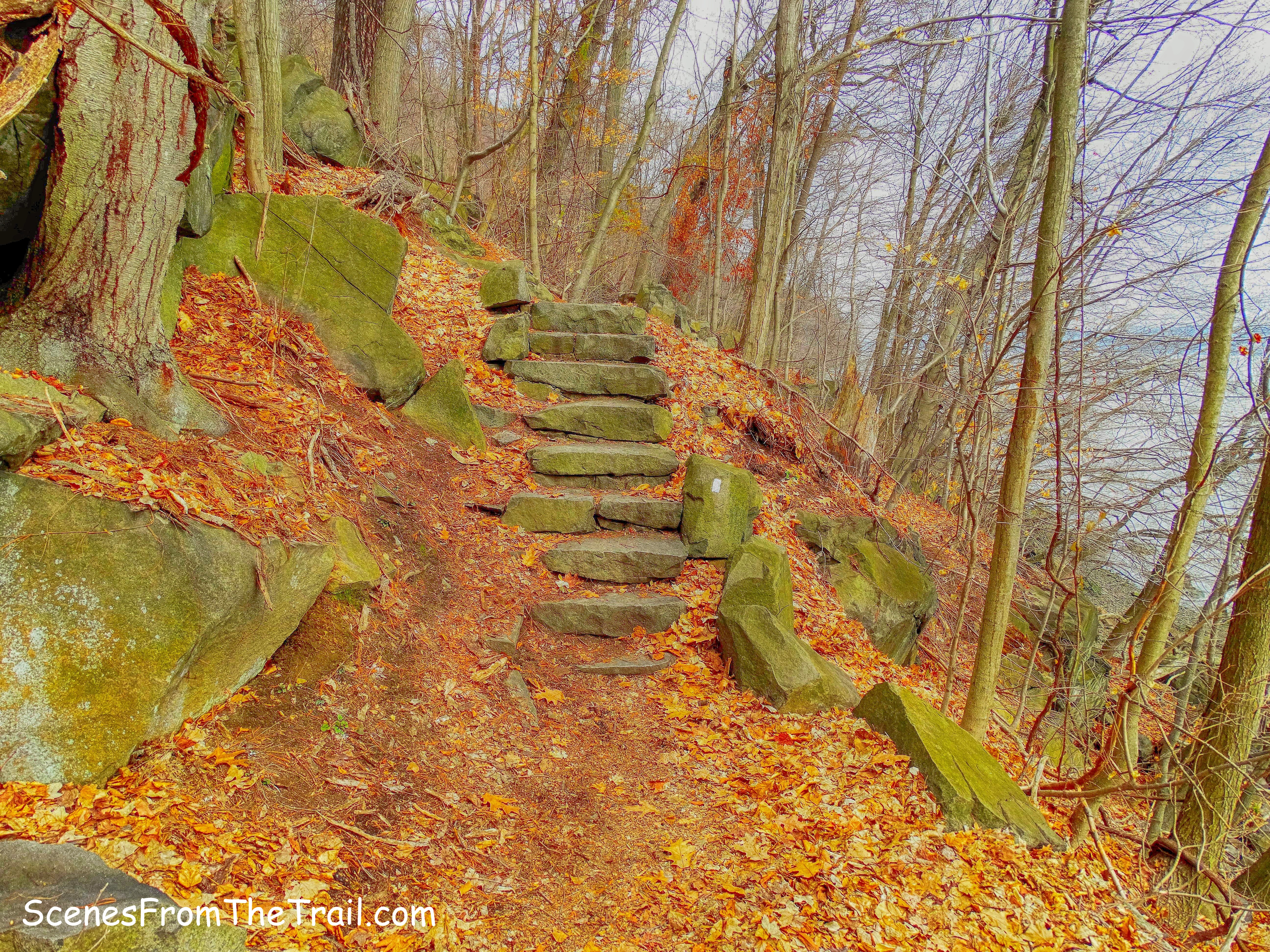 Shore Trail