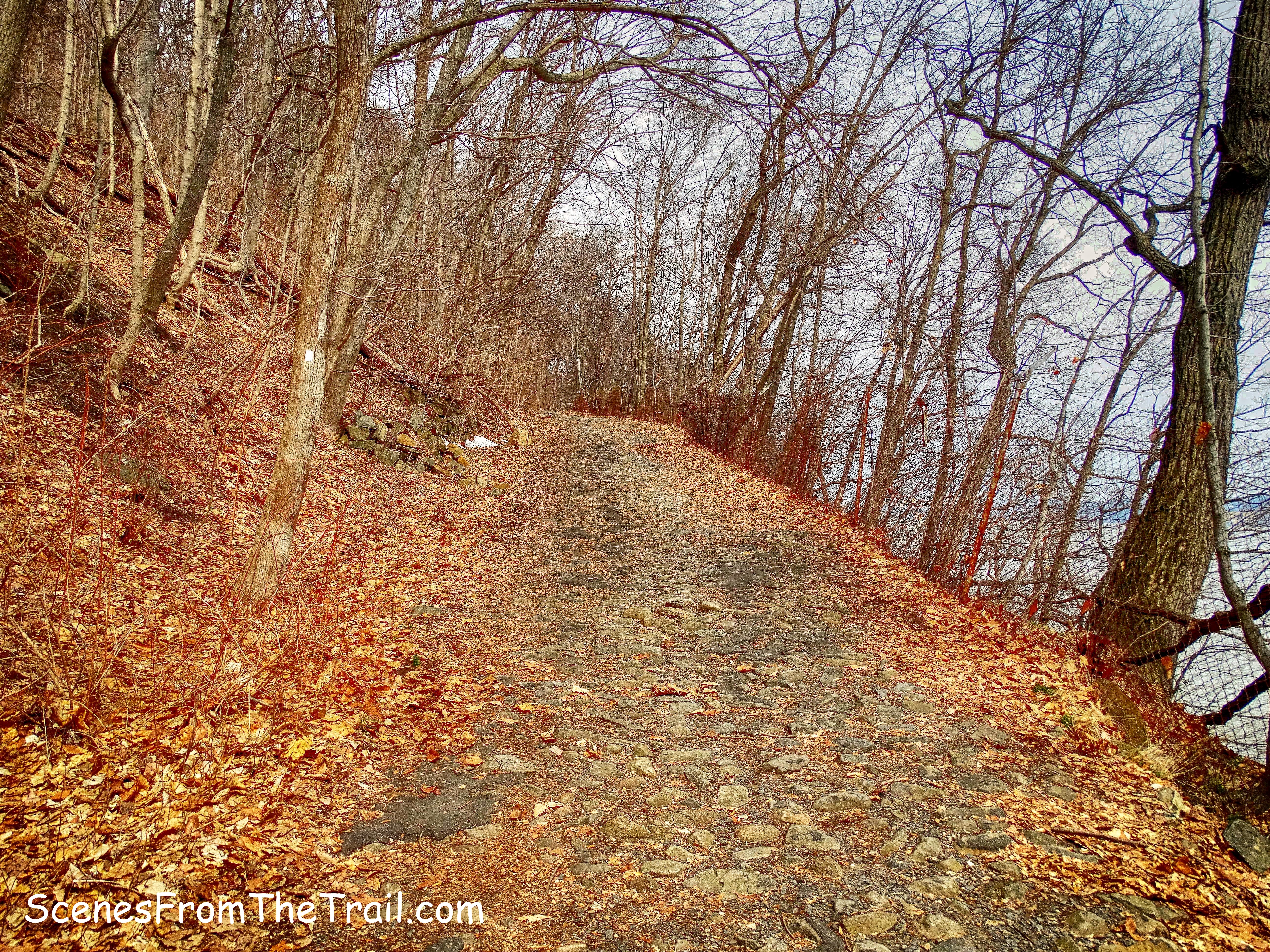 Shore Trail