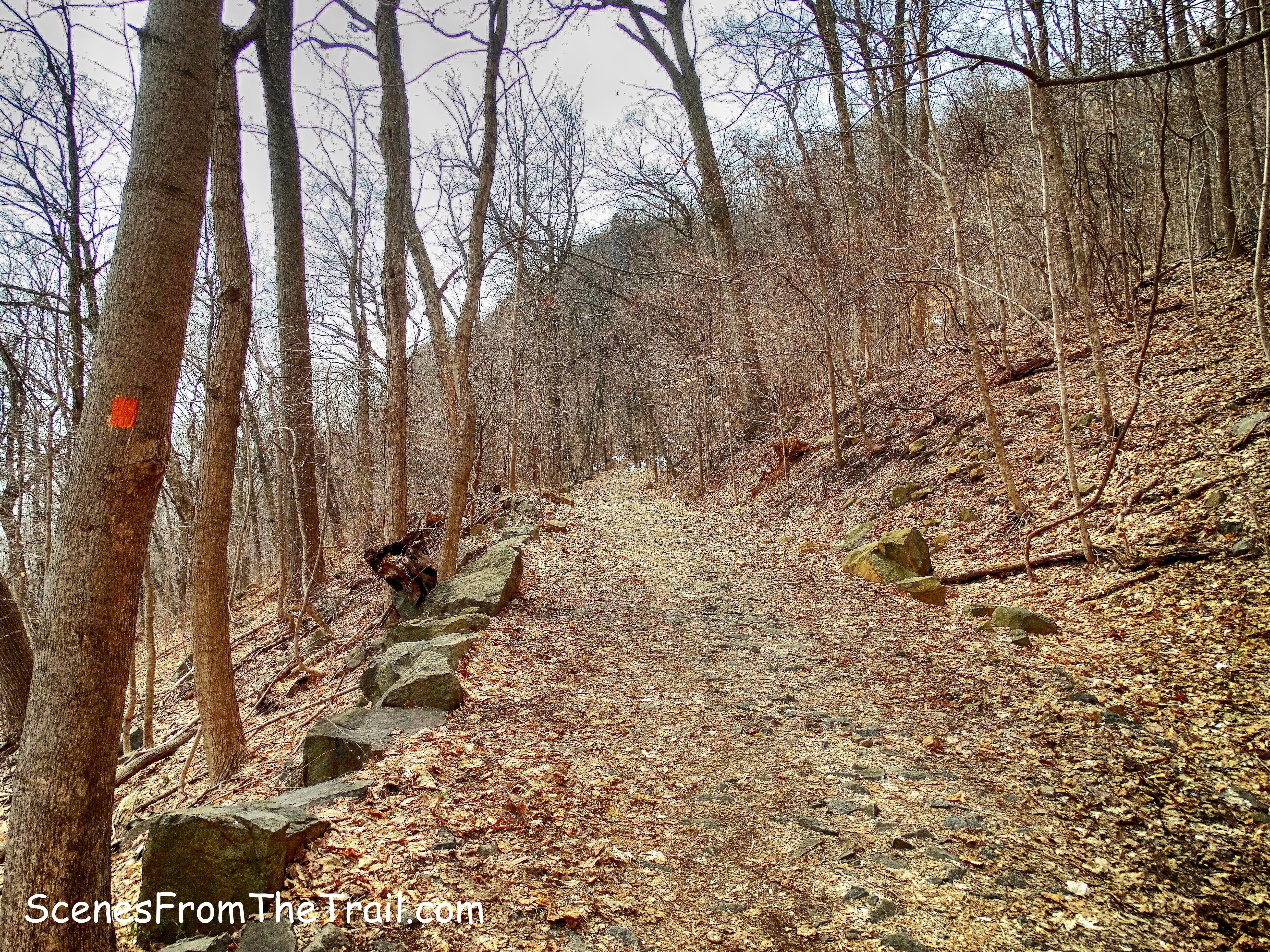 Closter Dock Trail