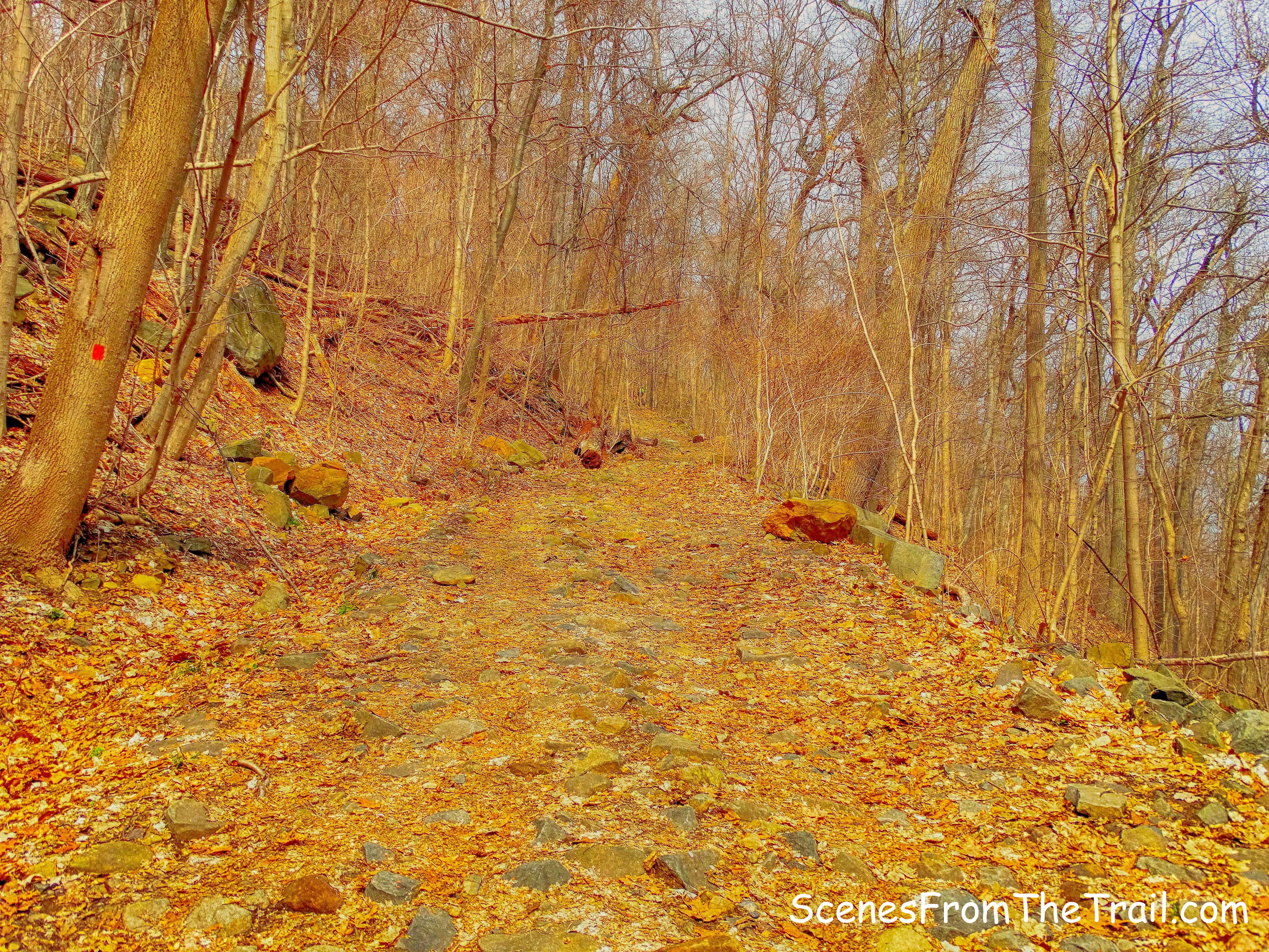 Closter Dock Trail