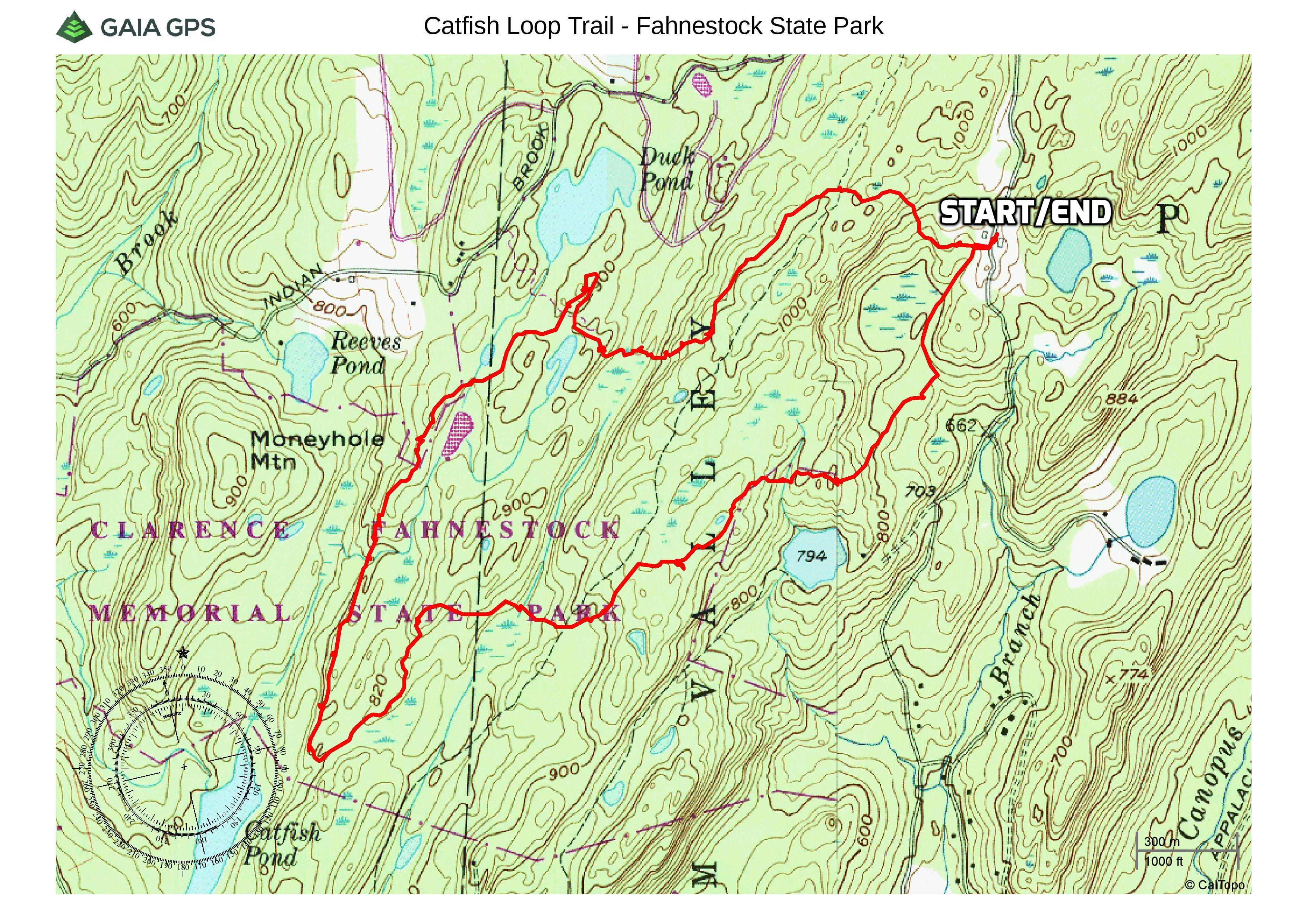 Catfish Loop Trail - Fahnestock State Park