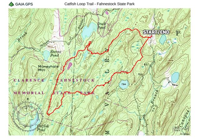 Catfish Loop Trail - Fahnestock State Park