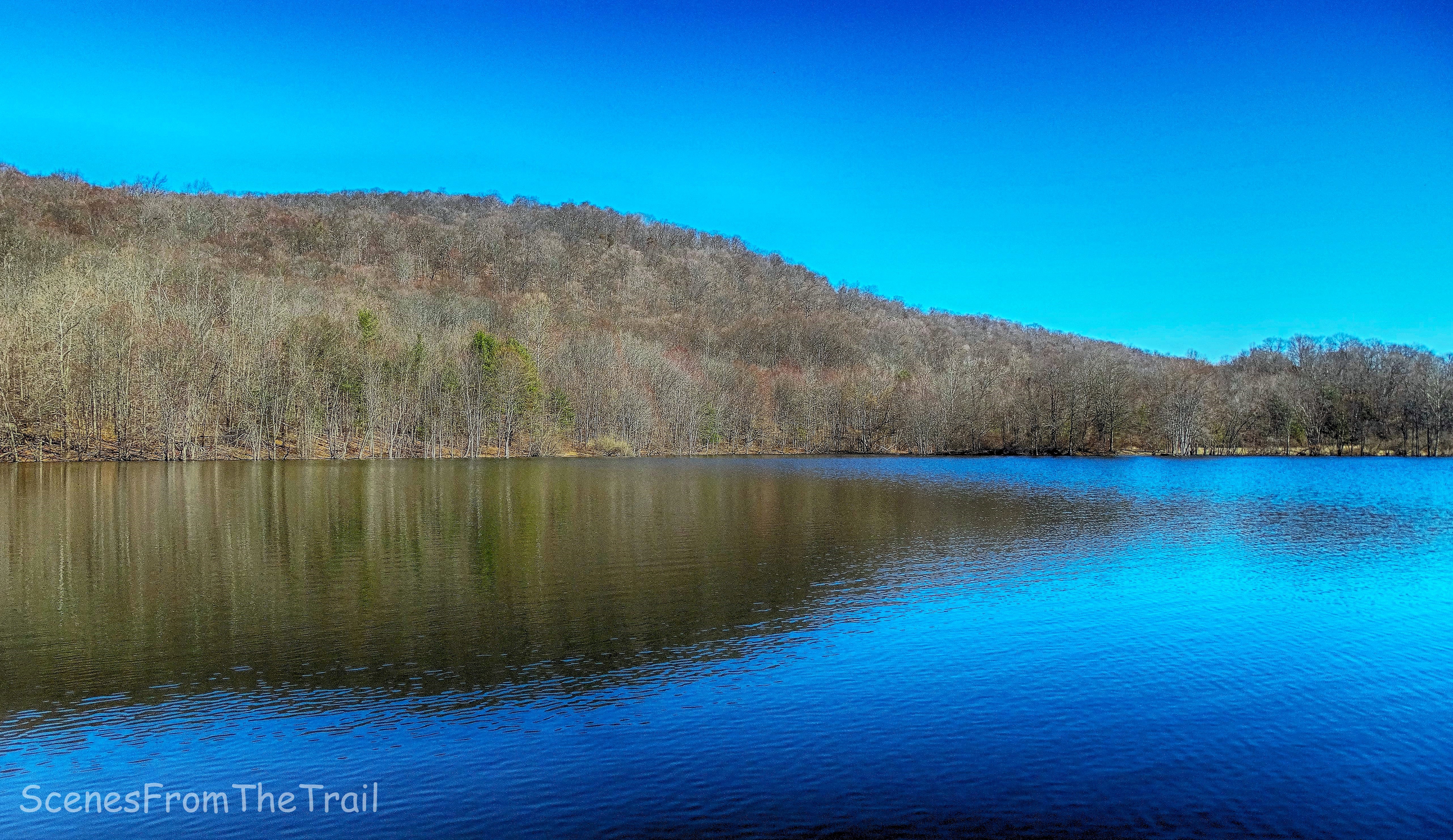 Scarlet Oak Pond