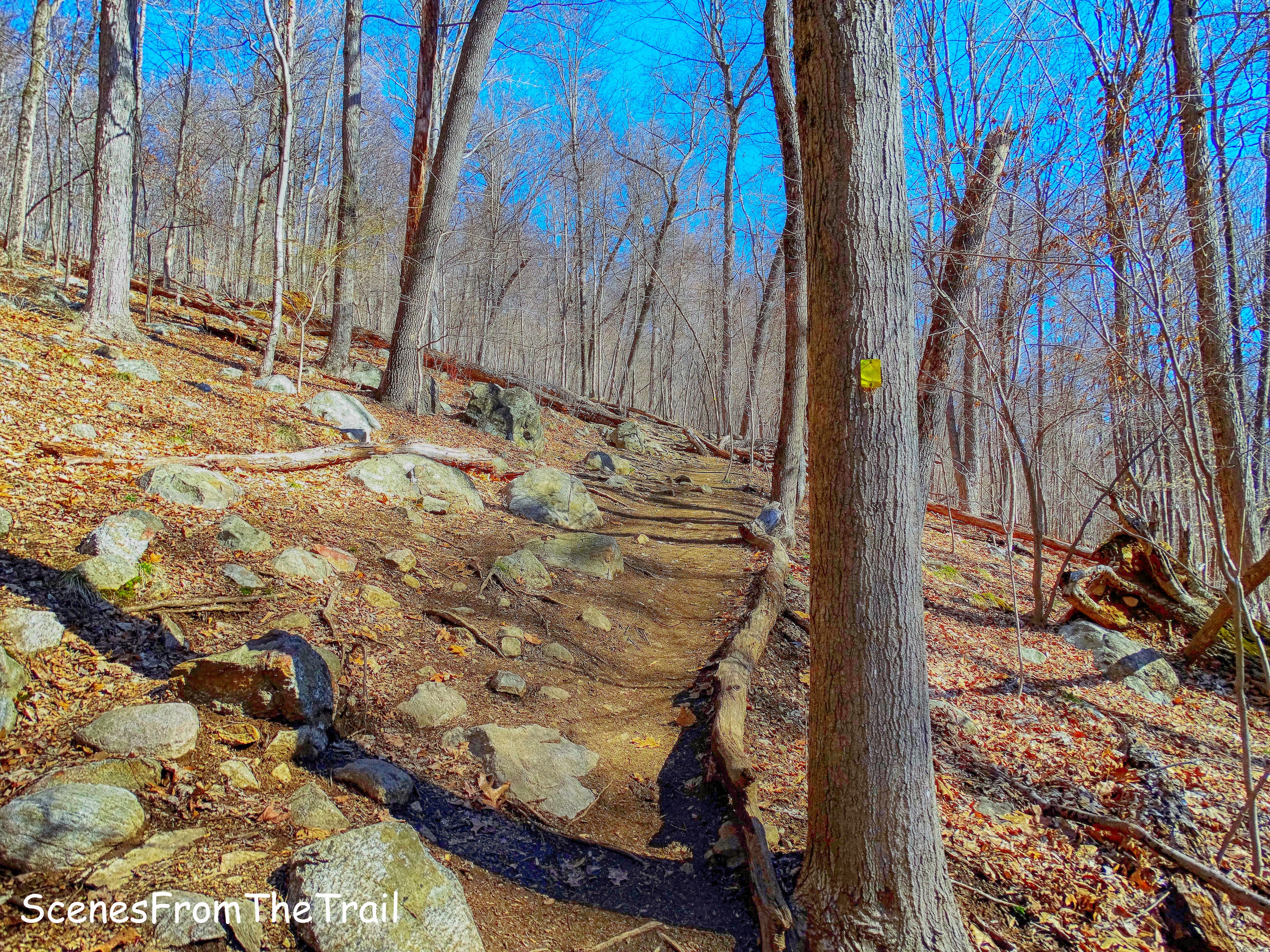 Yellow-blazed Vista Loop Trail