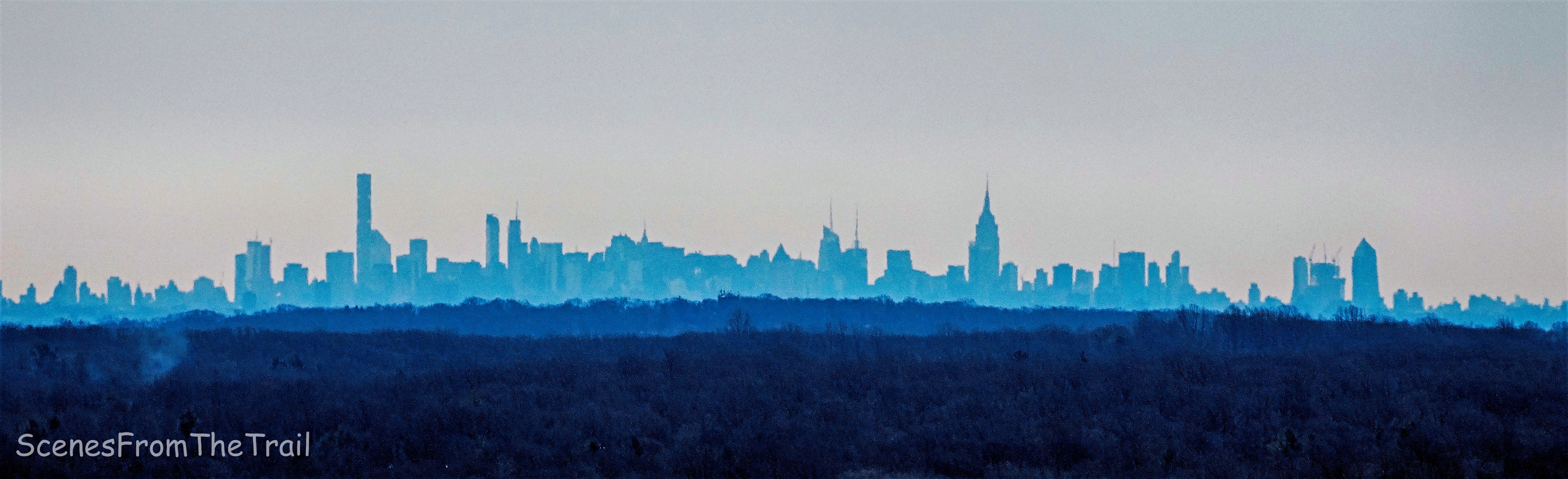 view from Cactus Ledge