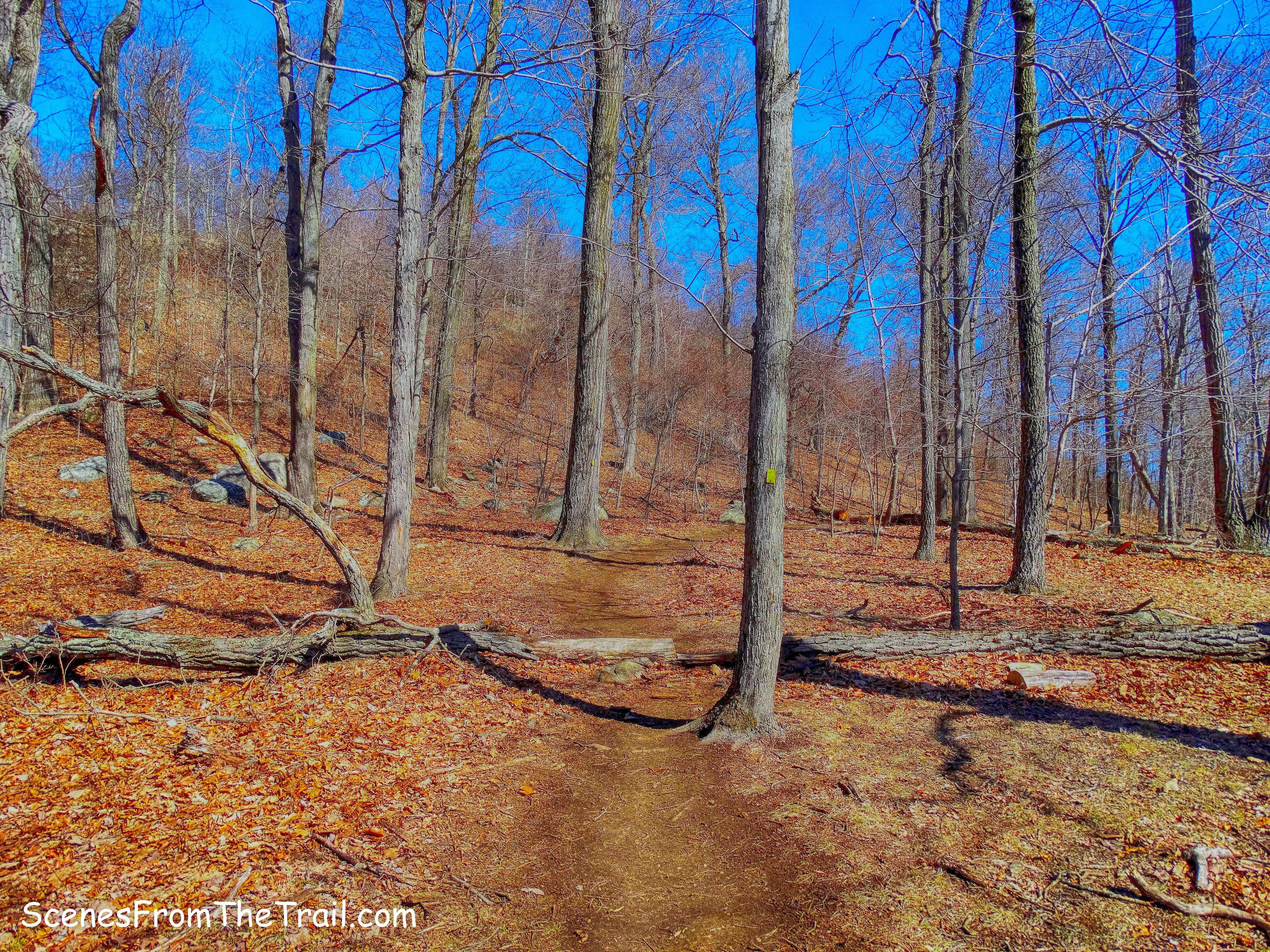 Vista Loop Trail