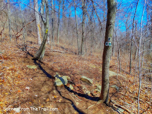 start of the Halifax Trail