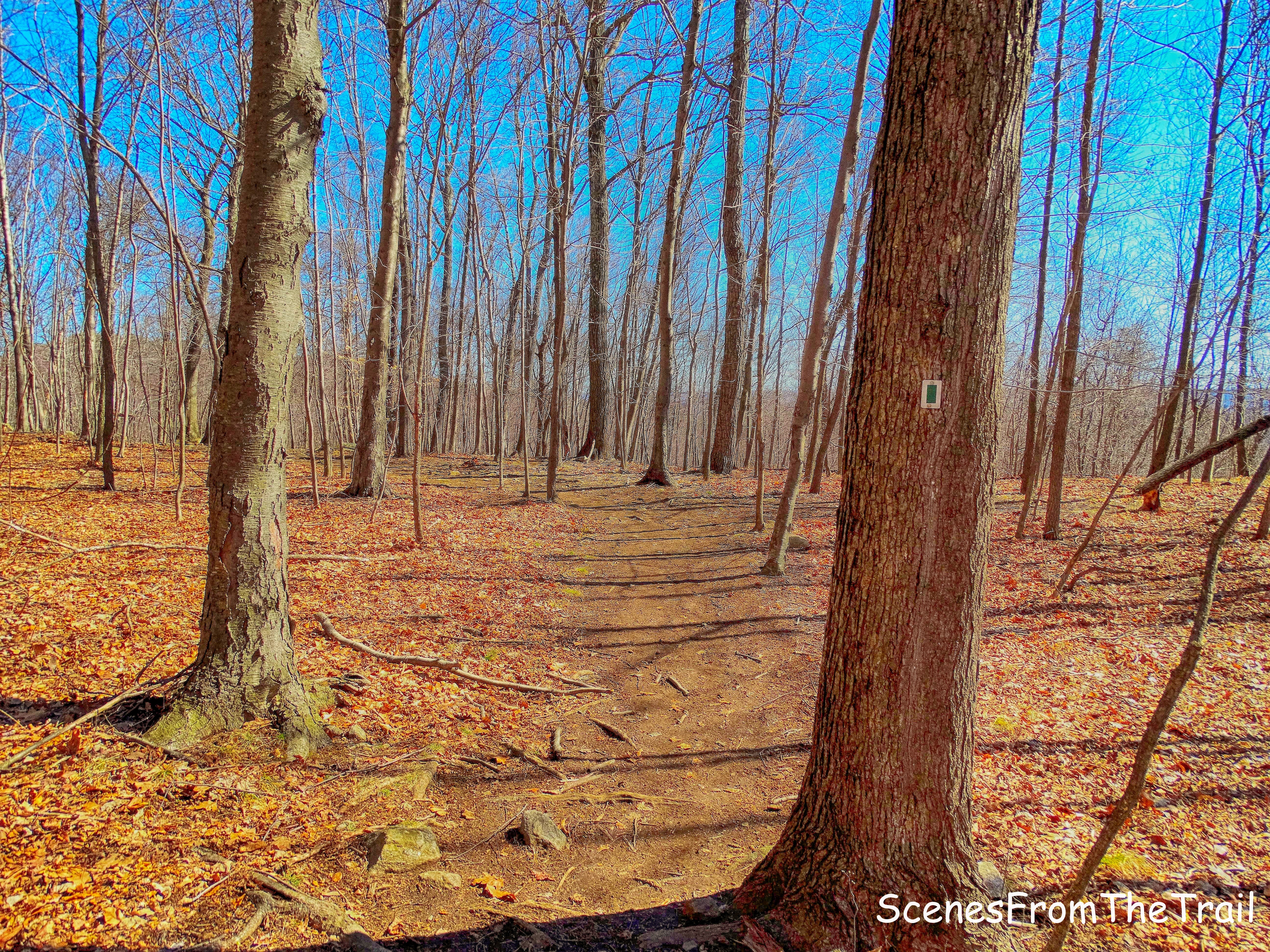 Halifax Trail