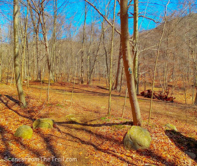 Halifax Trail - Havemeyer Hollow