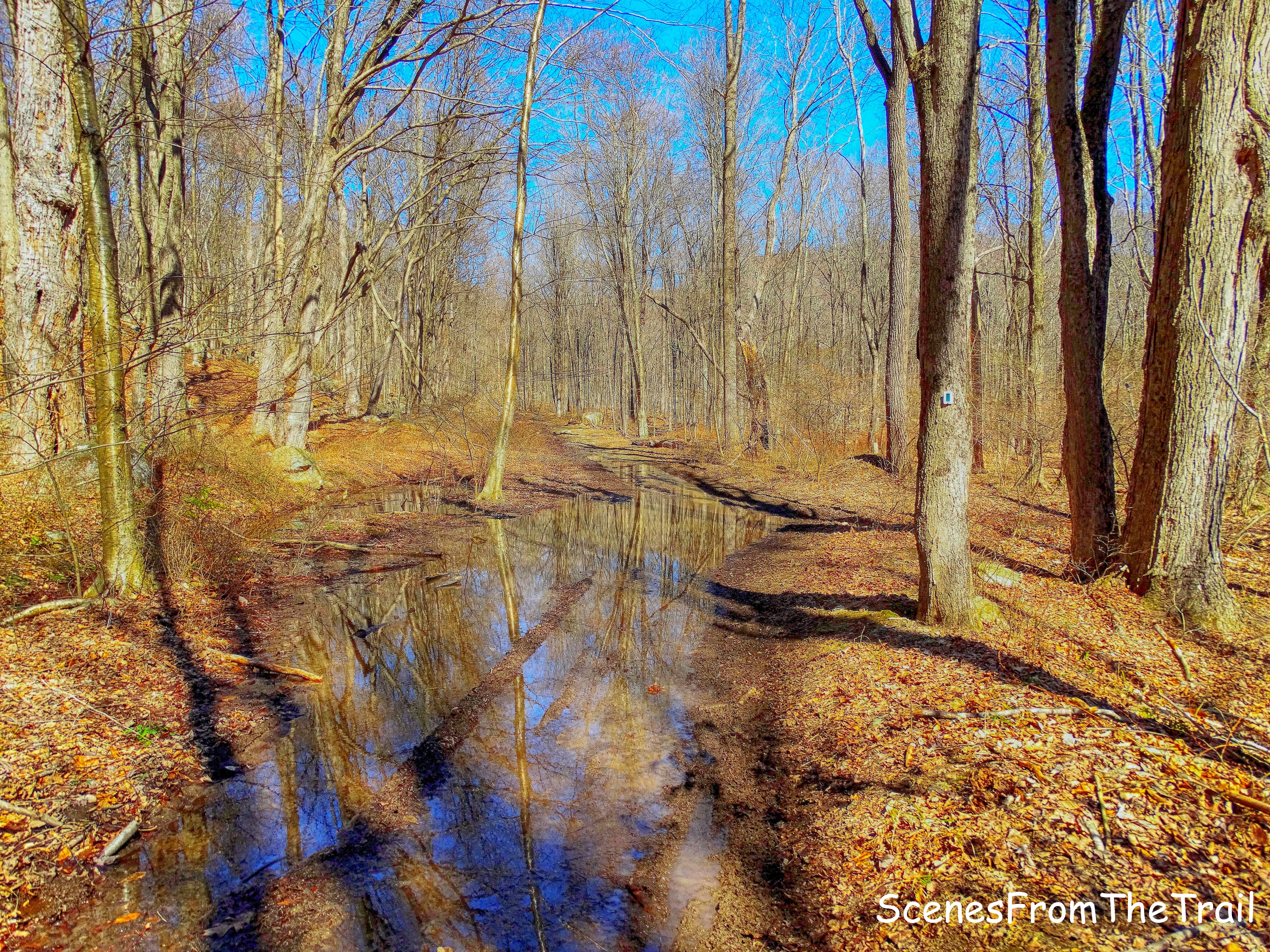 Halifax Trail - Havemeyer Hollow