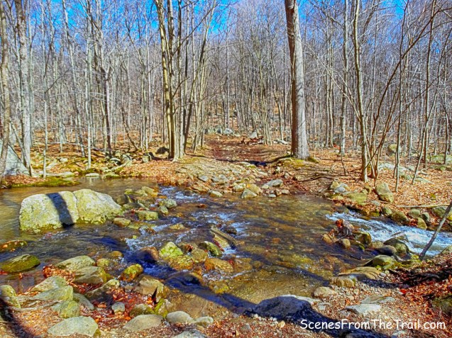 Havemeyer Brook - Halifax Trail